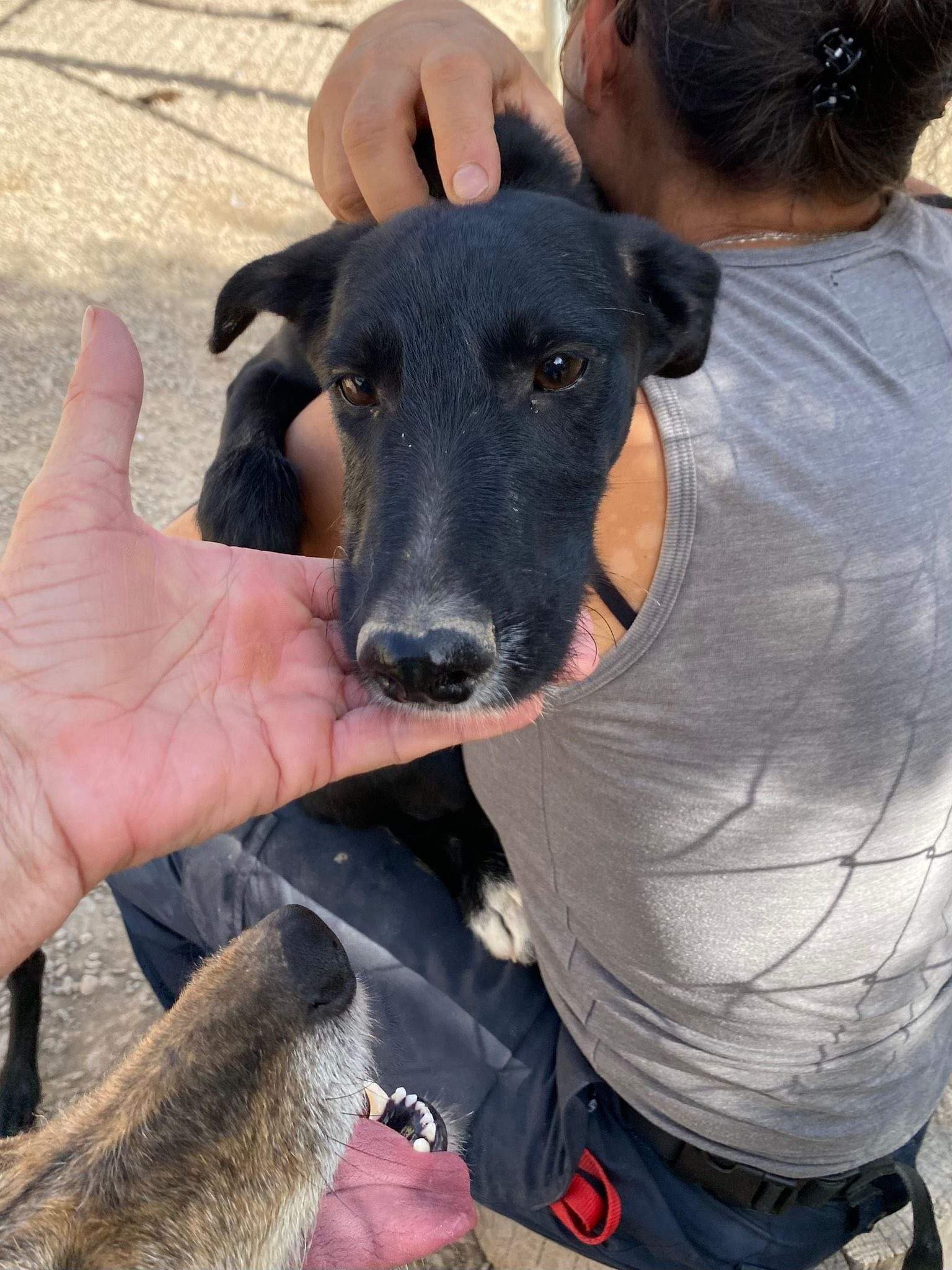 noodle_1138074711866149