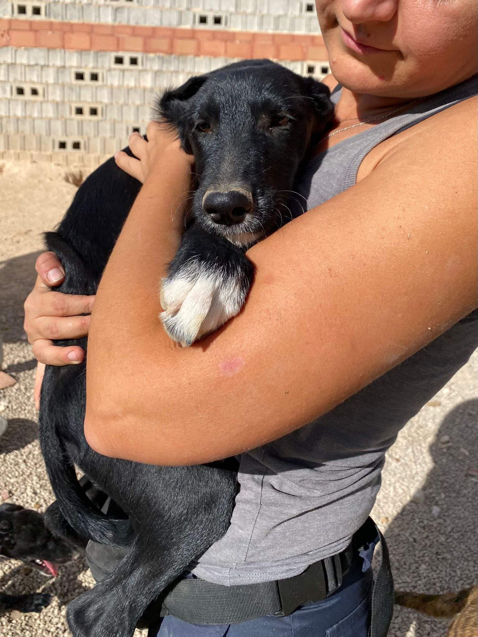 noodle_1138074891866131