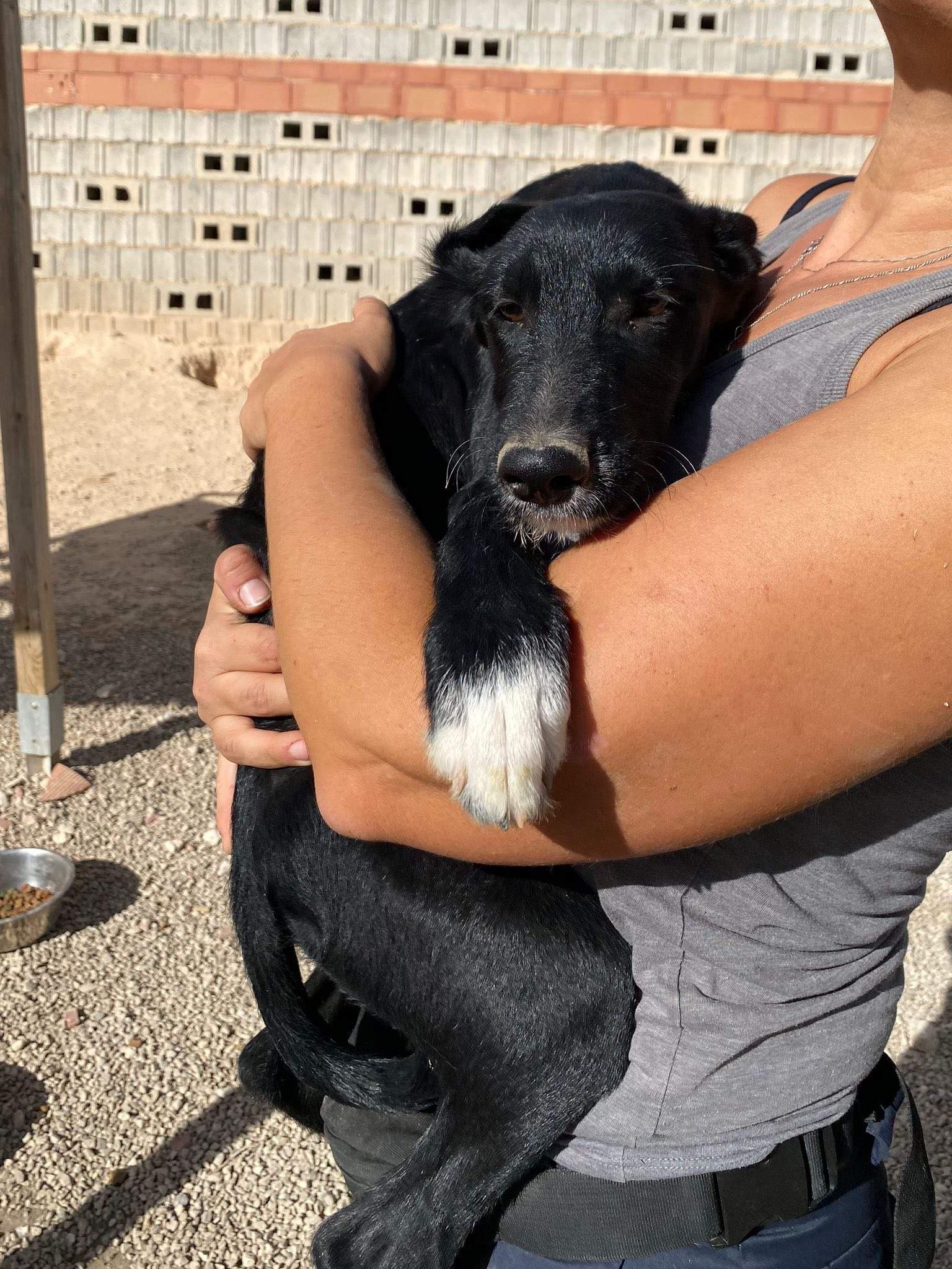 noodle_1138074908532796