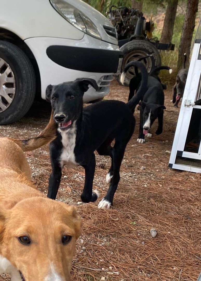 noodle_1152253183781635