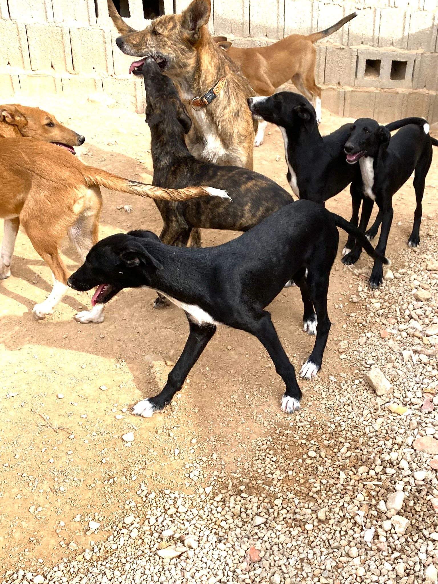 noodle_1152253273781626