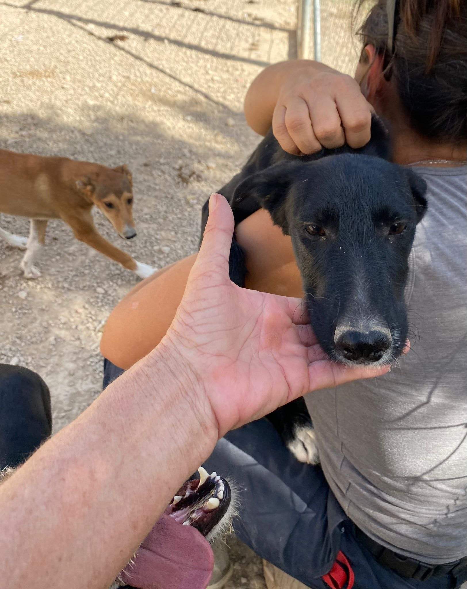 noodle_1152253333781620