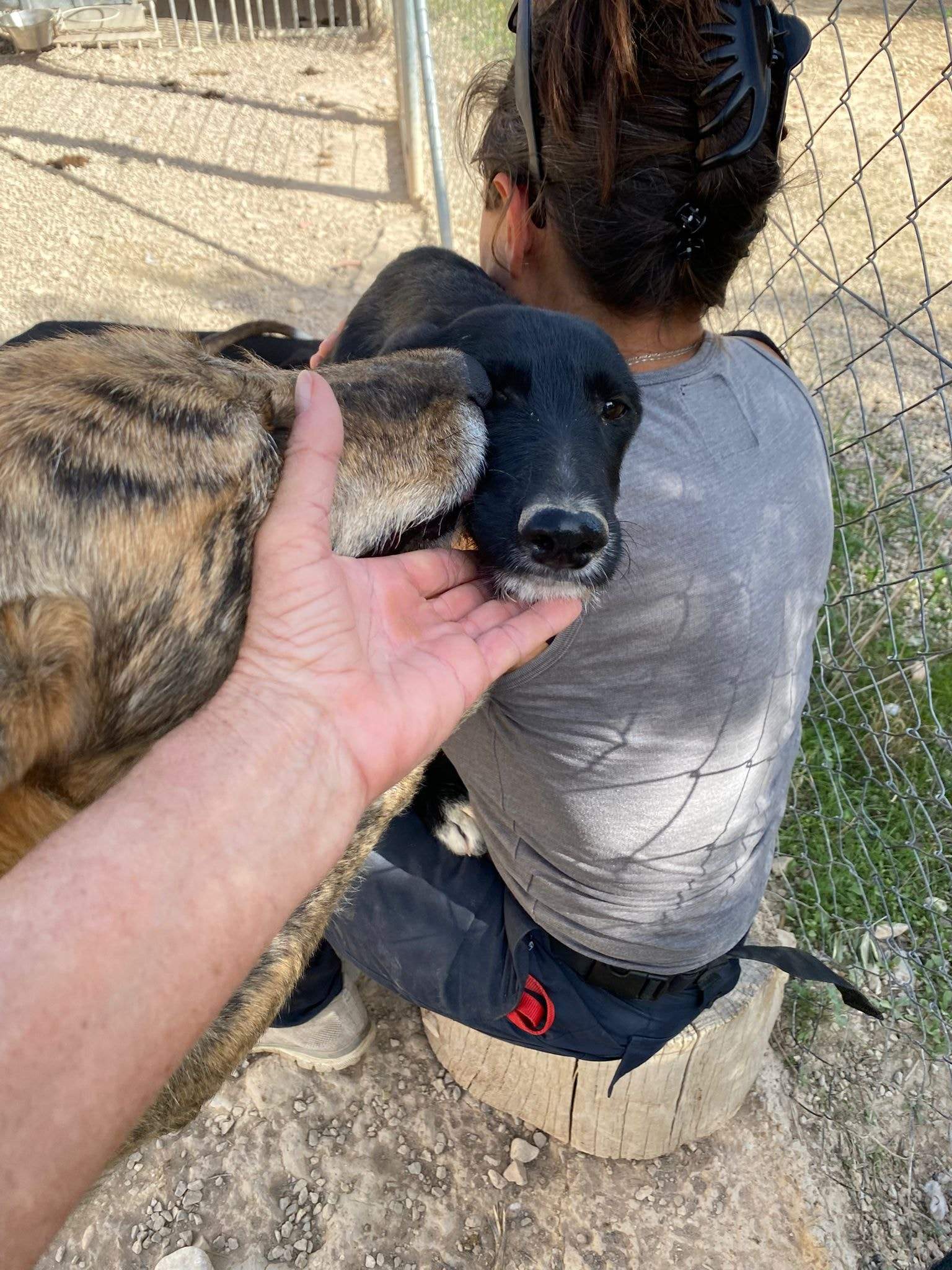 noodle_1152253380448282