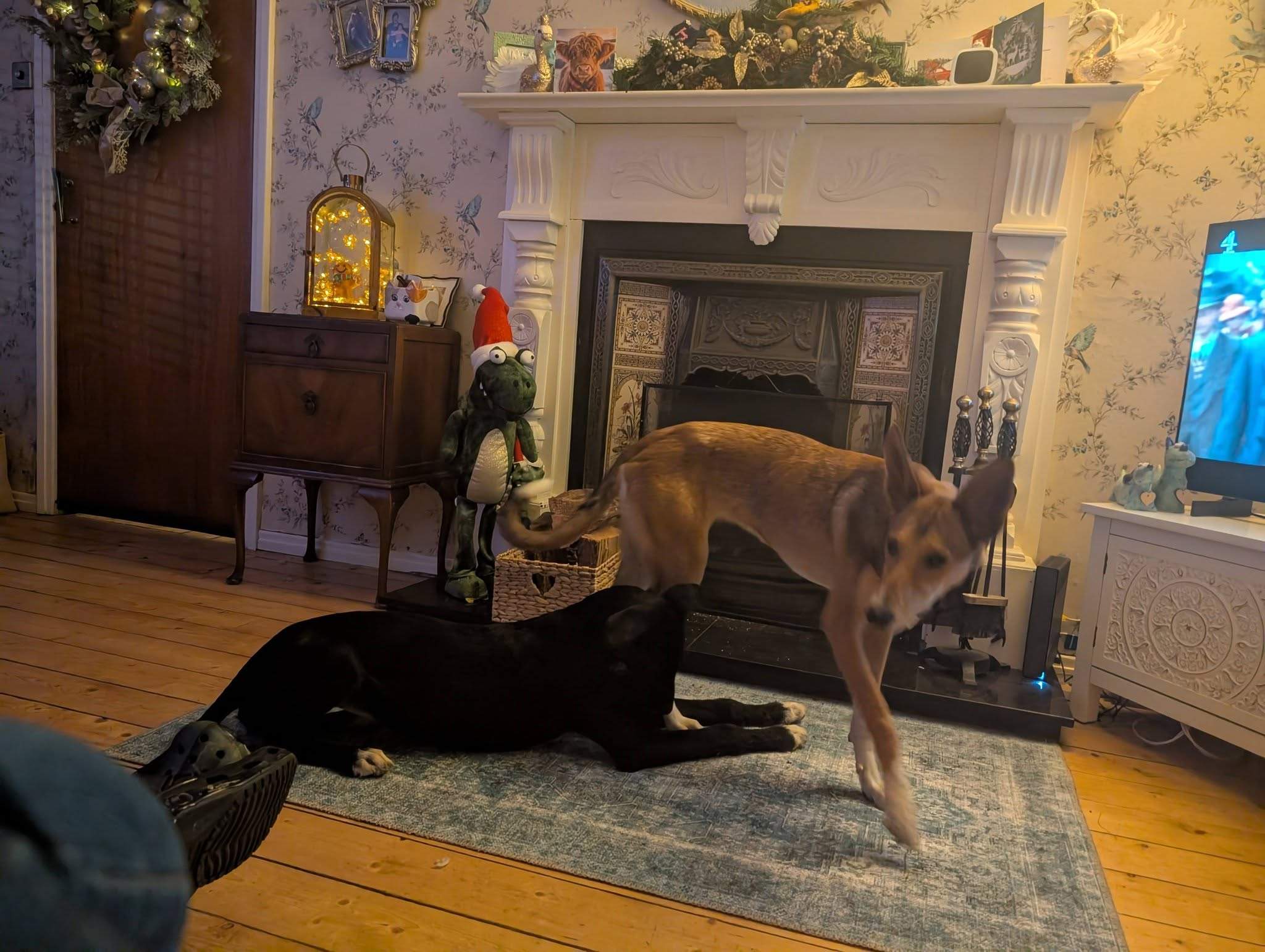 noodle_1187260533614233