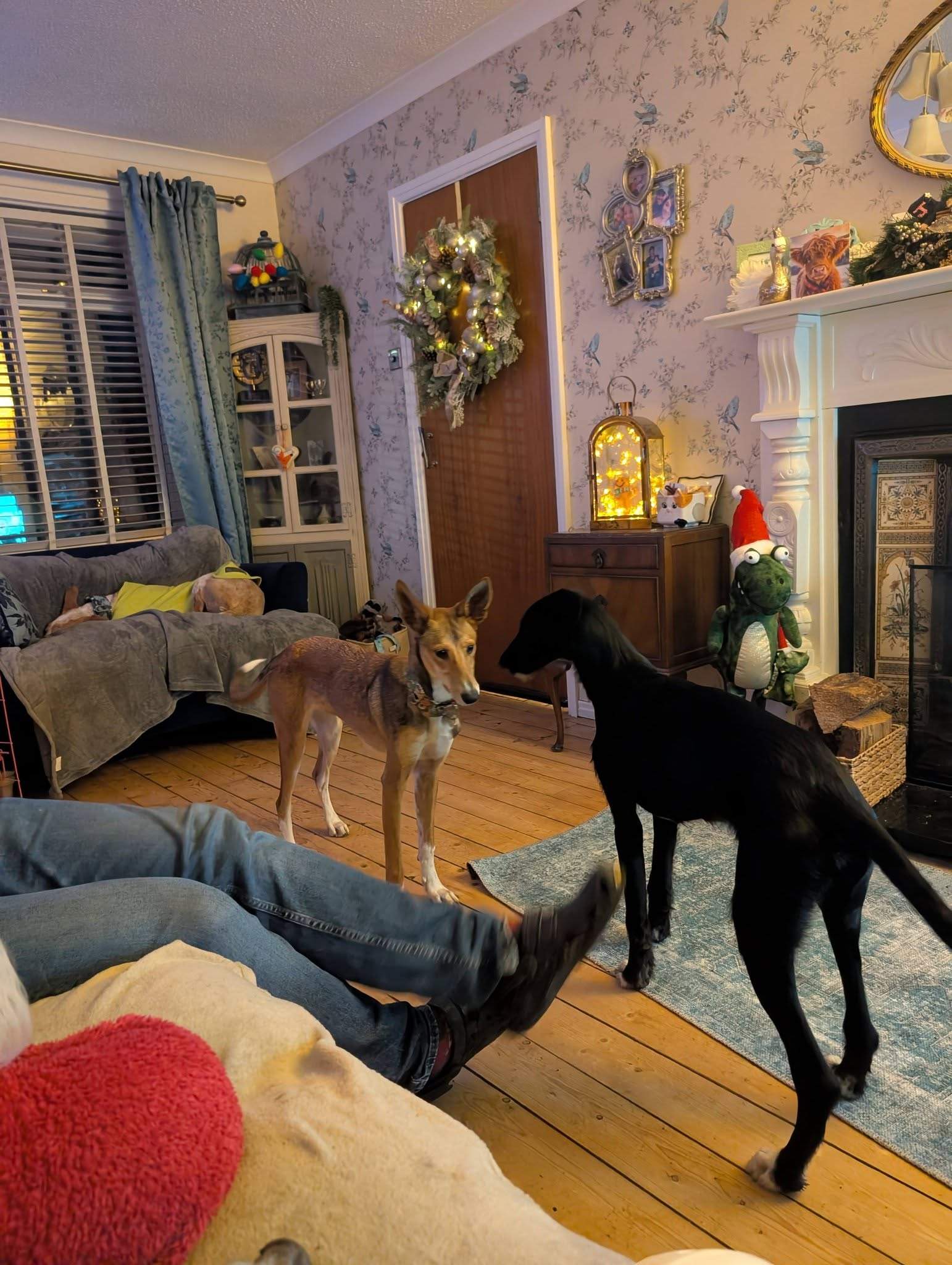 noodle_1187260586947561