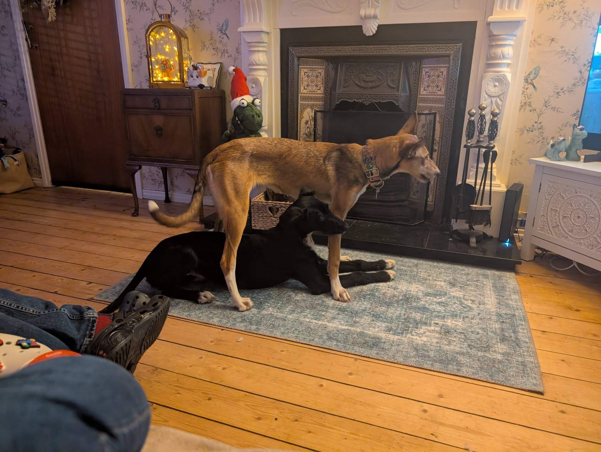 noodle_1187260793614207