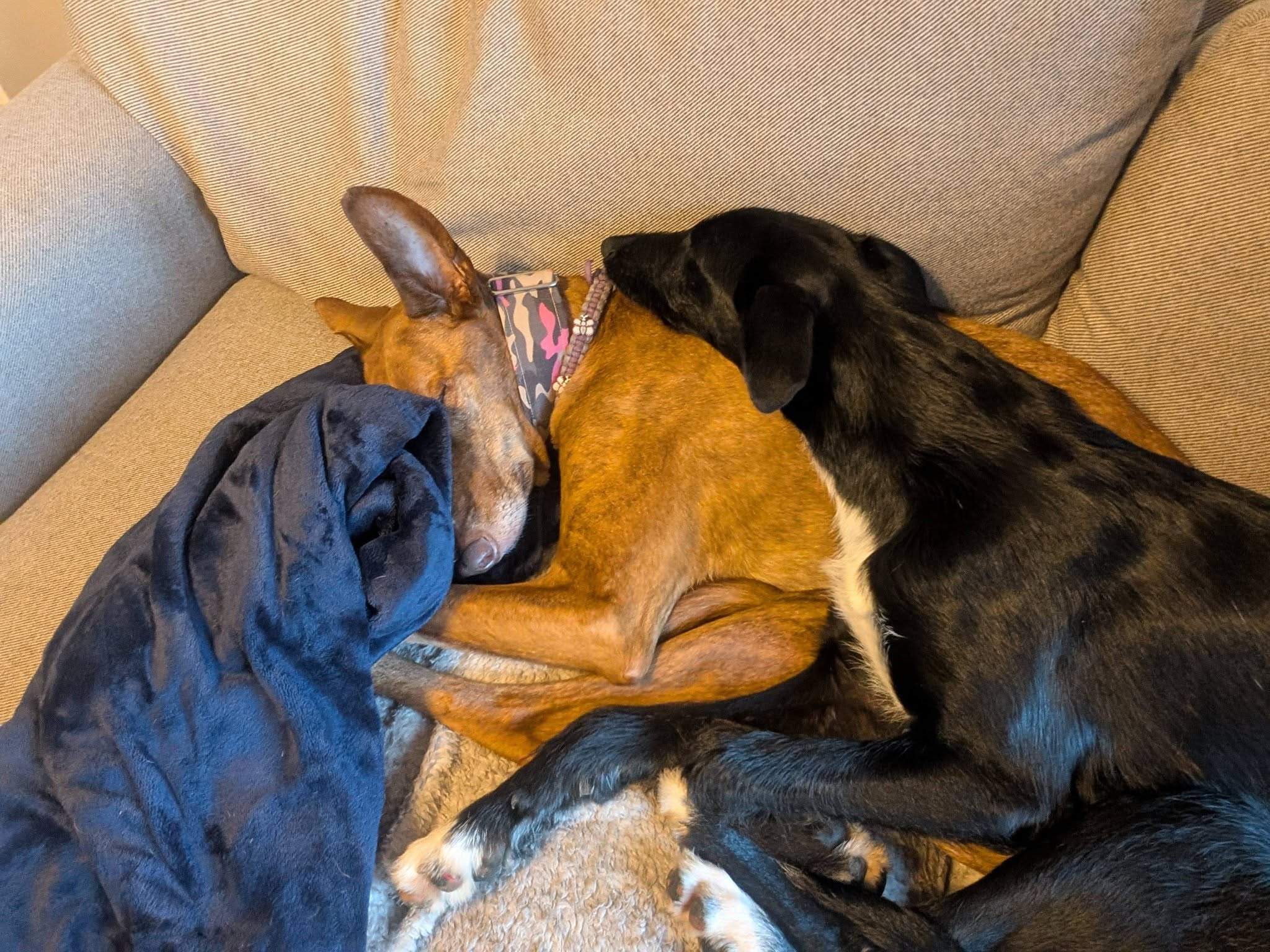 noodle_1187260960280857