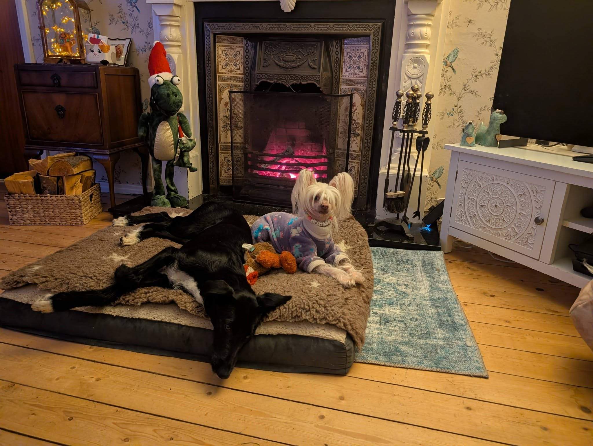 noodle_1194286562911630