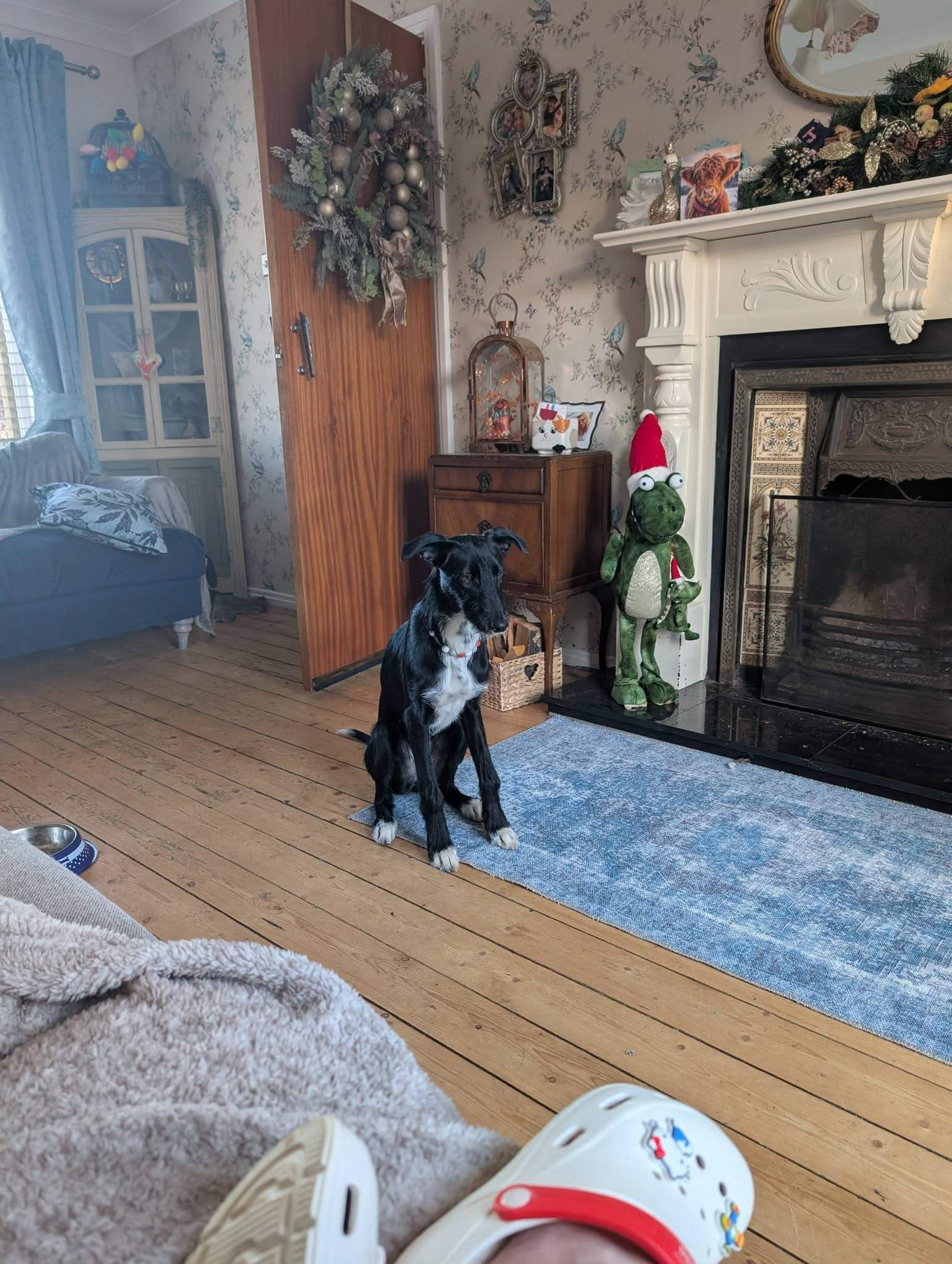 noodle_1194286609578292