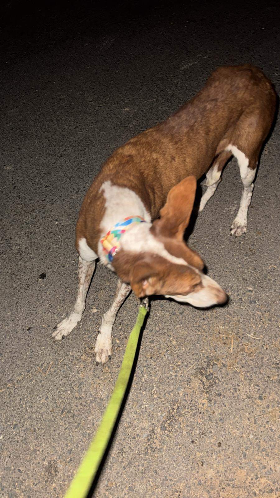 nova_1221495016857451