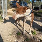 nova_1229870546019898