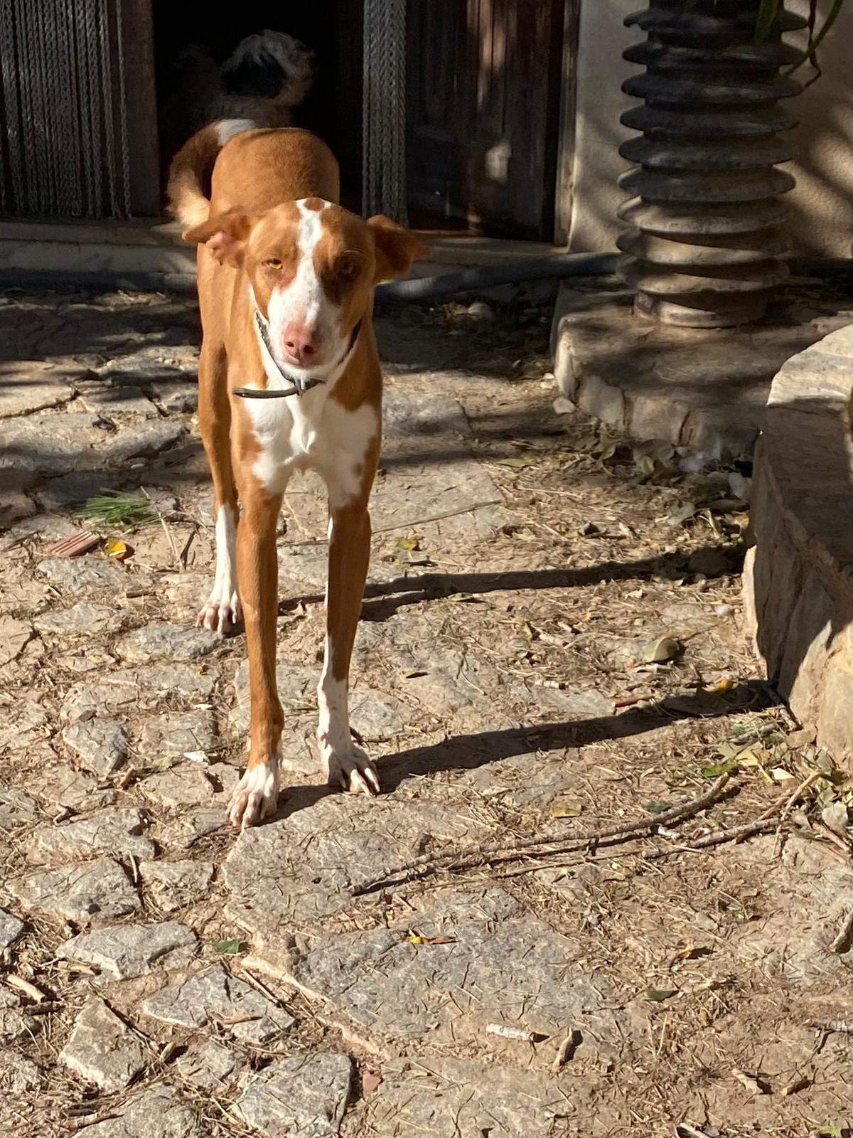 oliver_1229790832694536