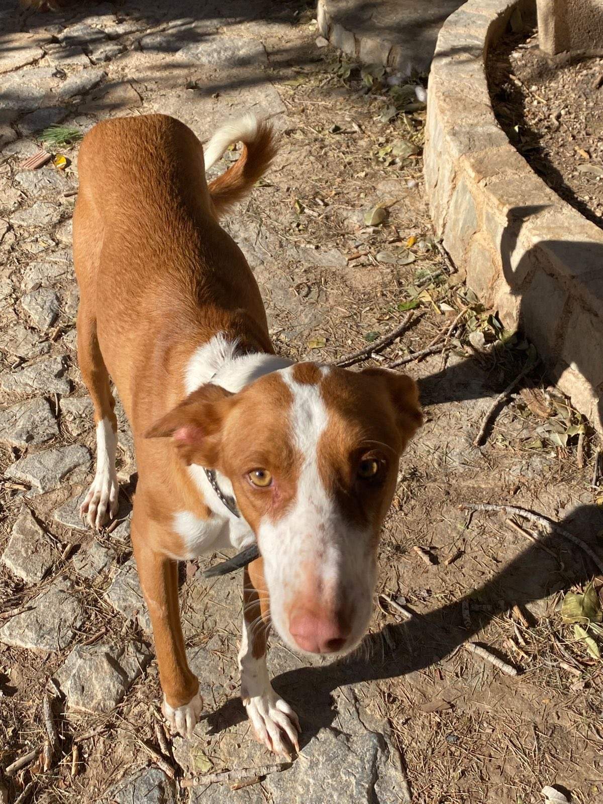 oliver_1229790876027865