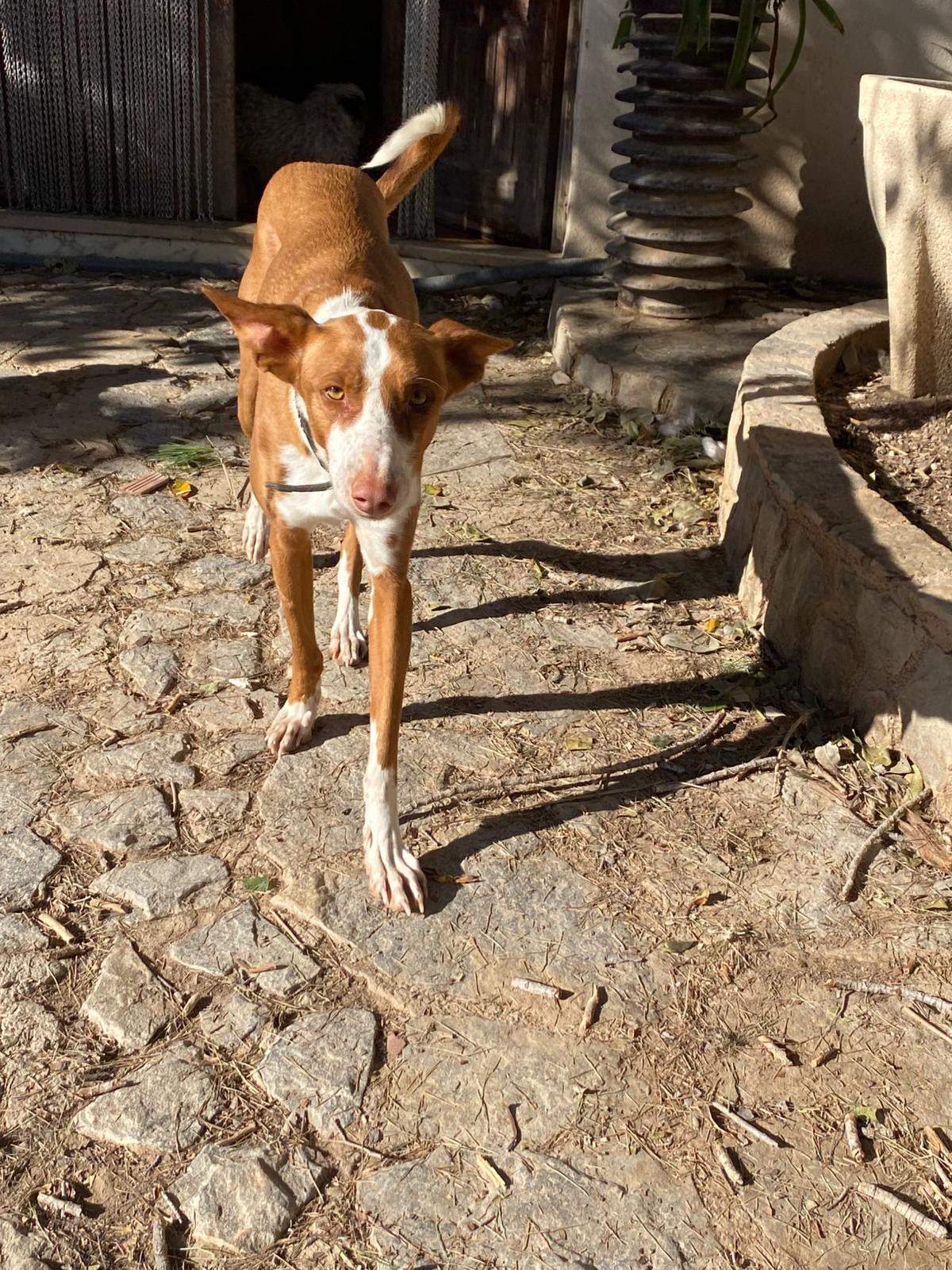 oliver_1229790952694524