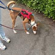 oliver_1306054358401516