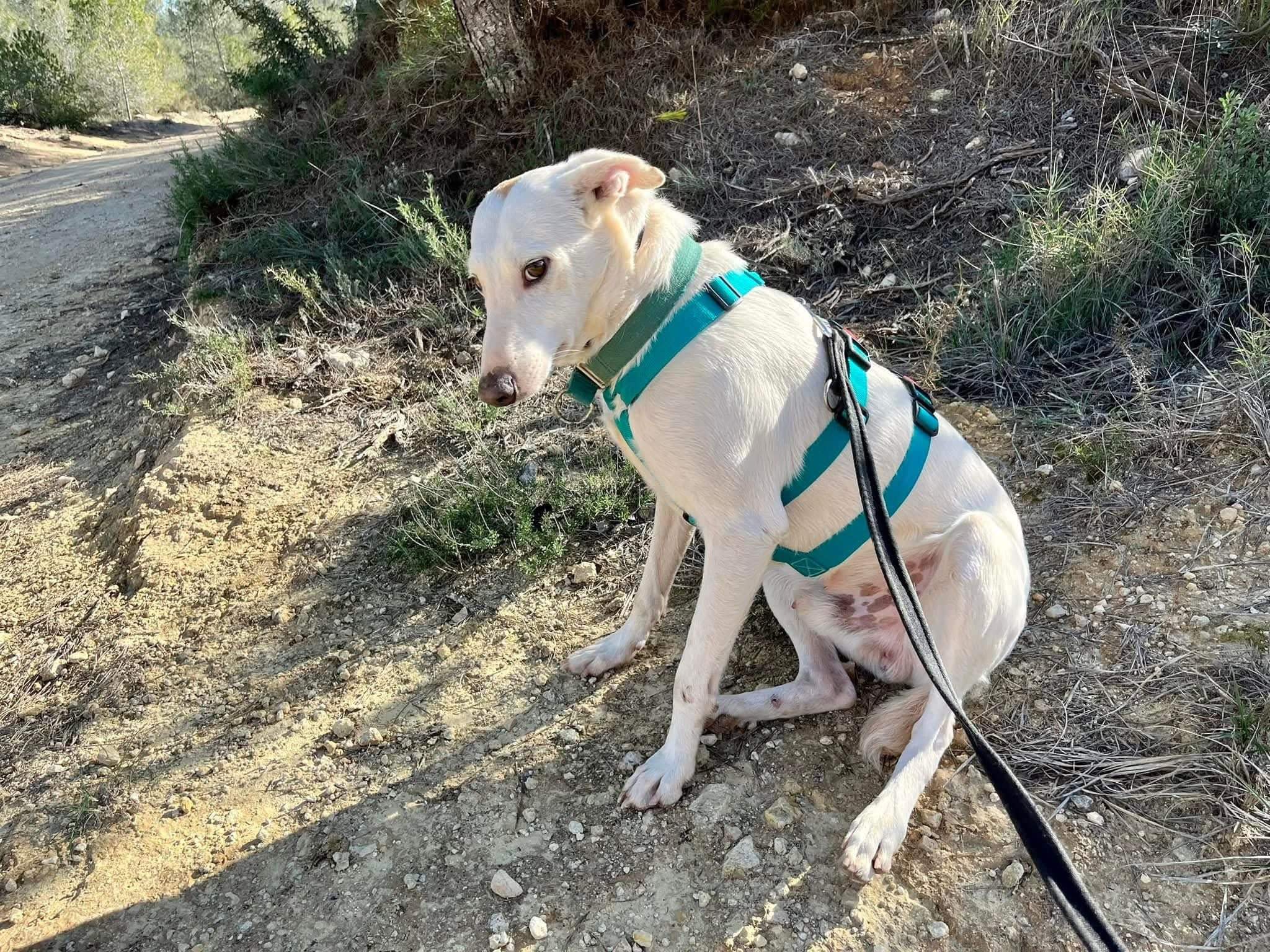 principe_1128777832795837