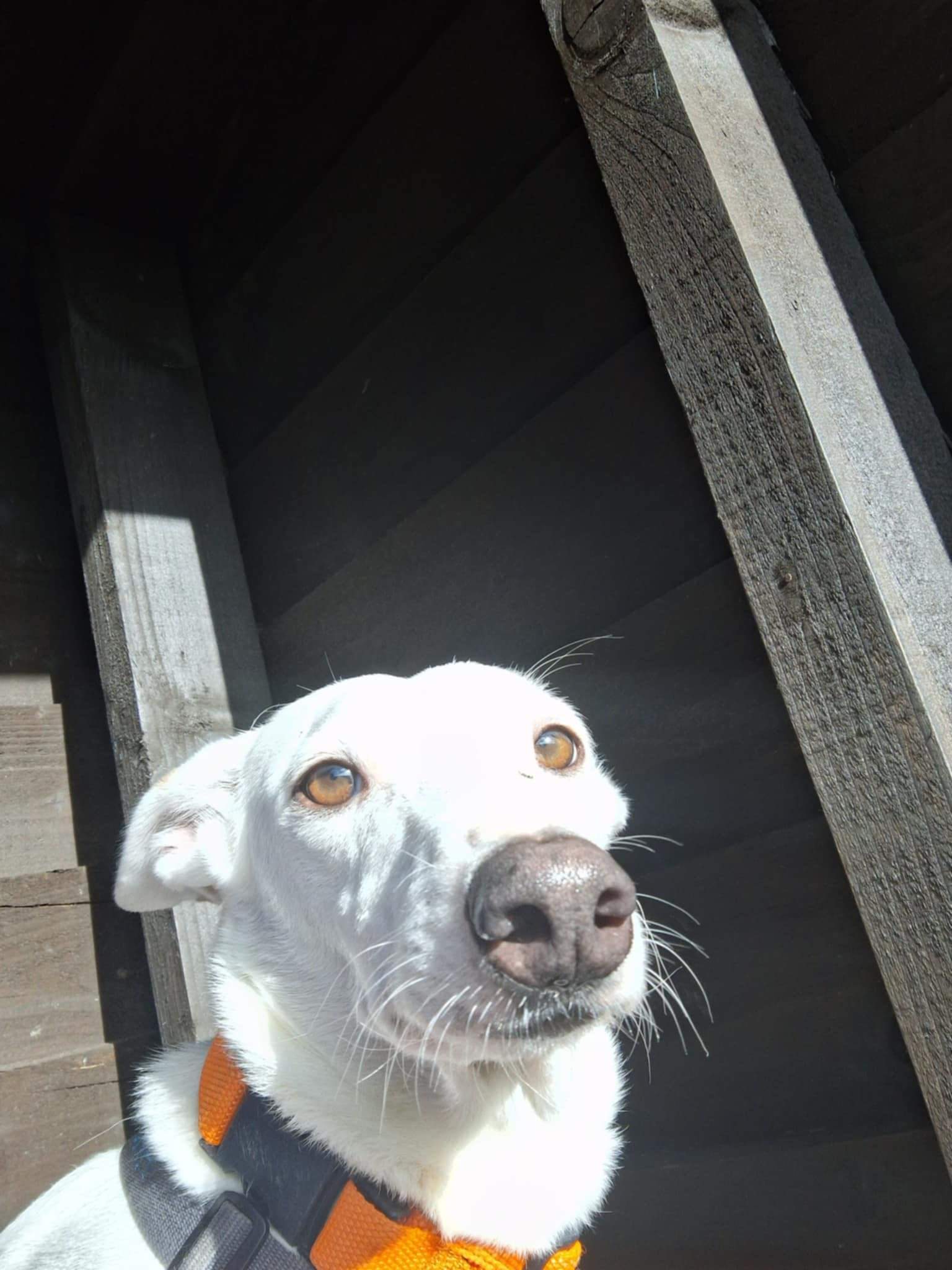 principe_1141388501534770