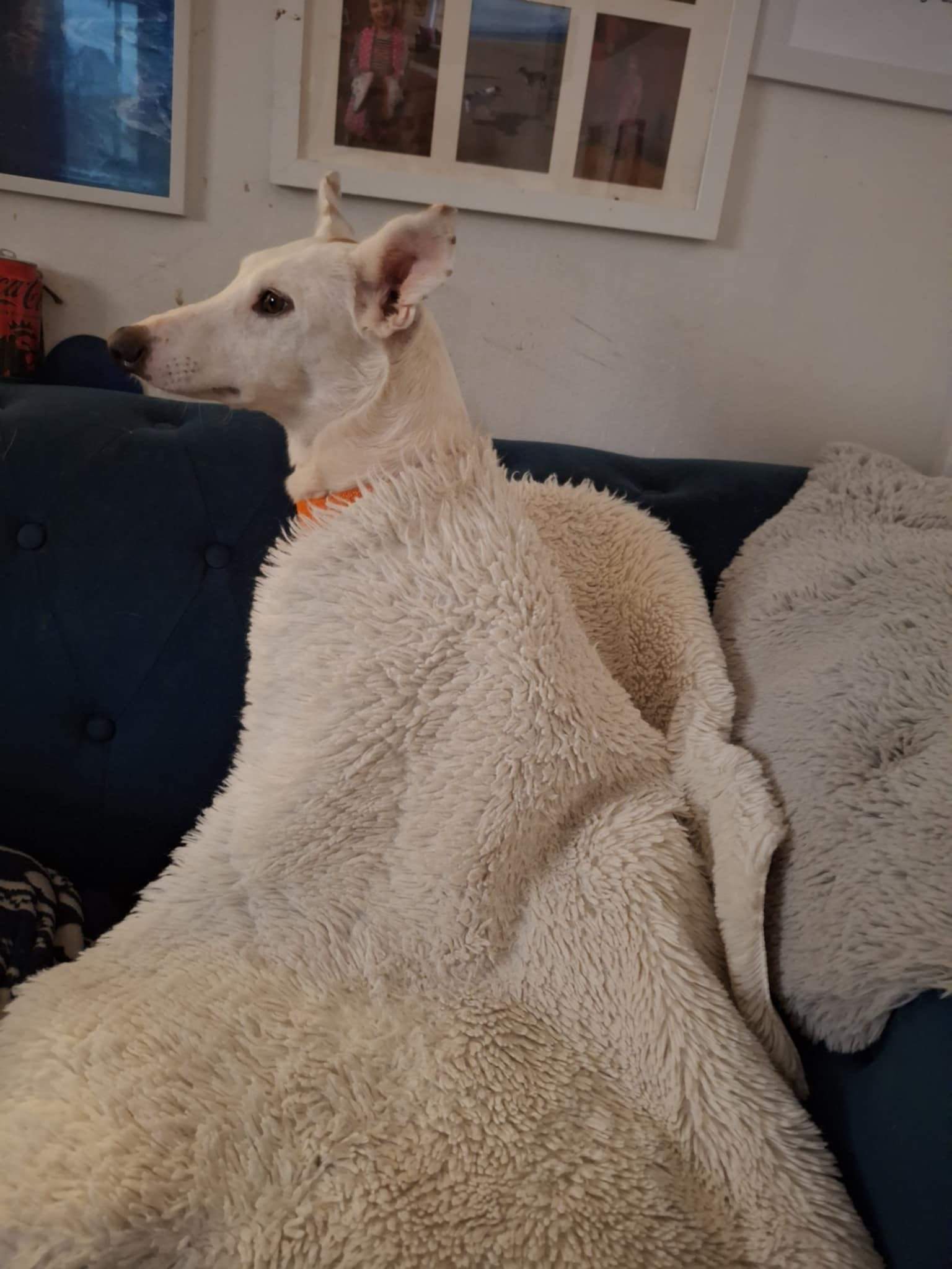 principe_1141388548201432