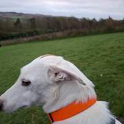 principe_1141388604868093