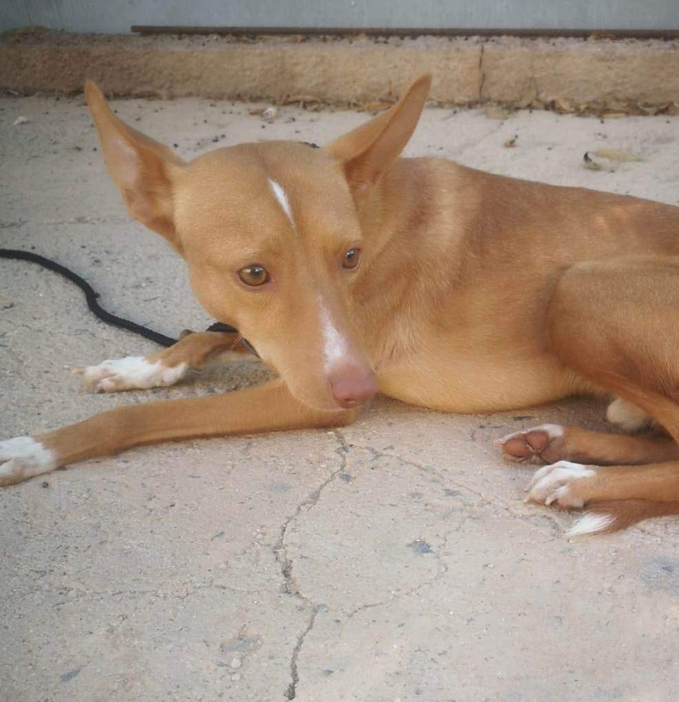 rayo_1121725760167711