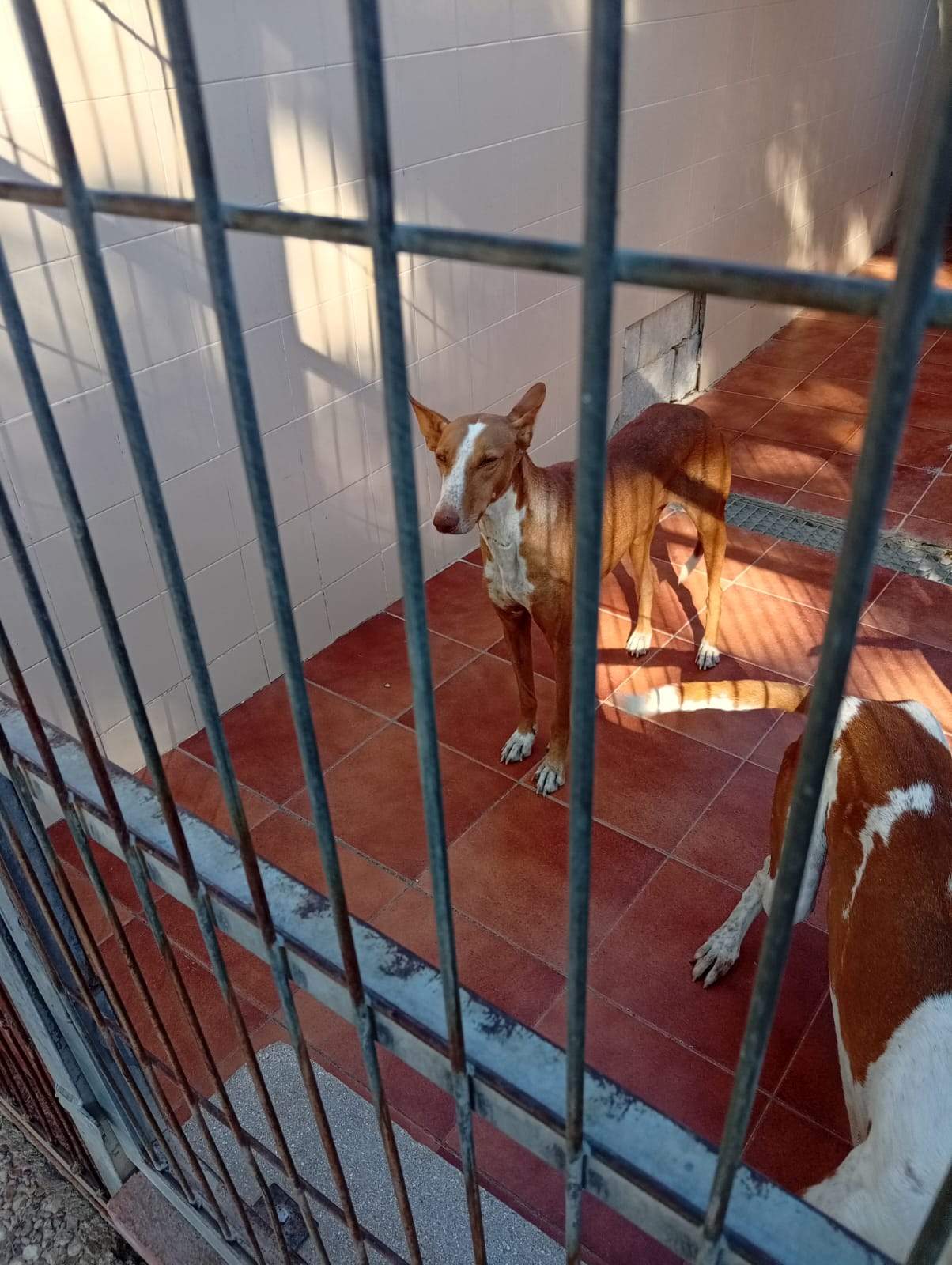 renata_1408285581511726