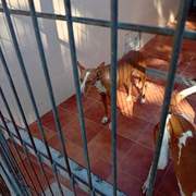renata_1408285588178392