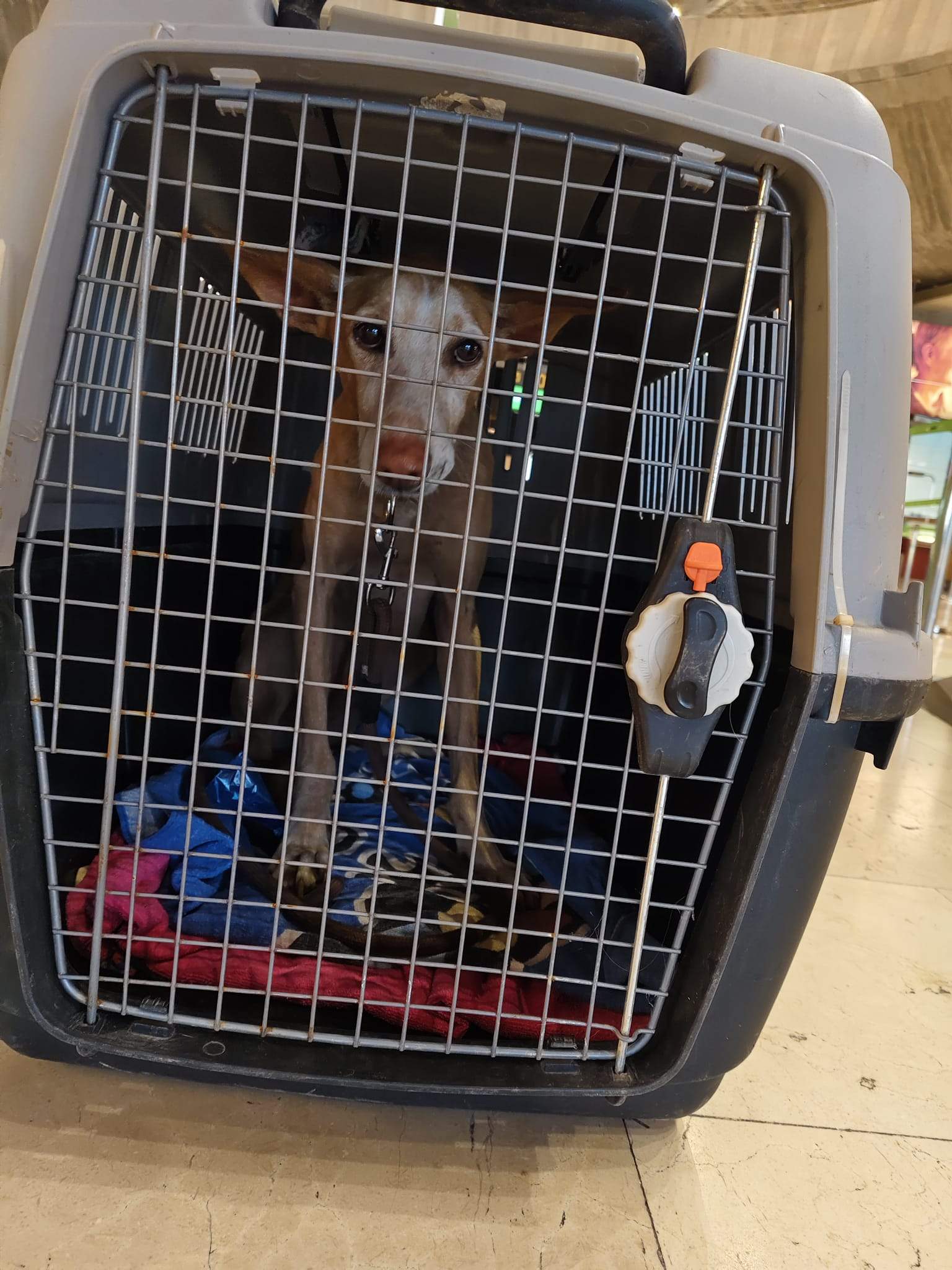 rubio_1221491176857835