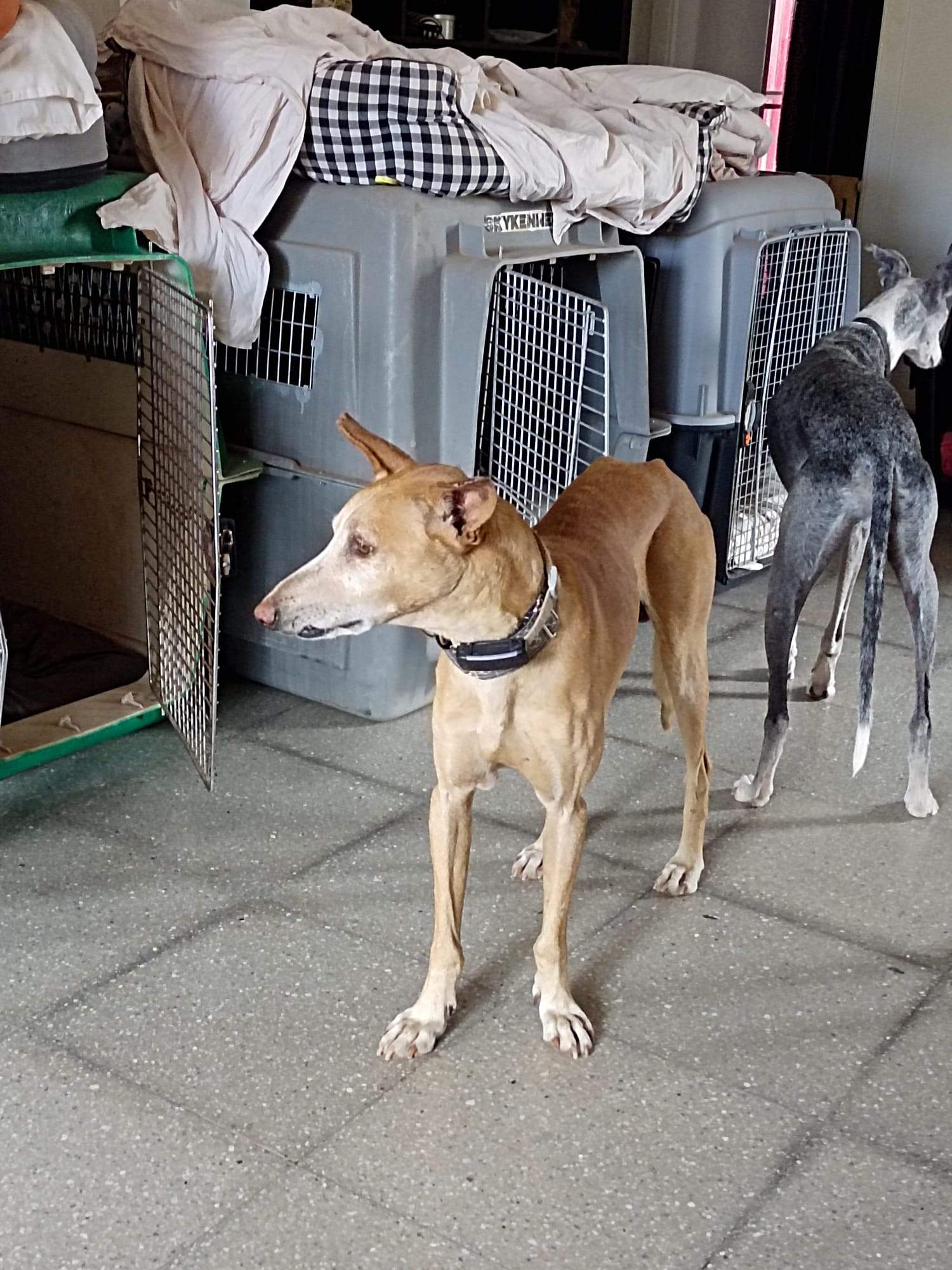 rubio_1221493663524253