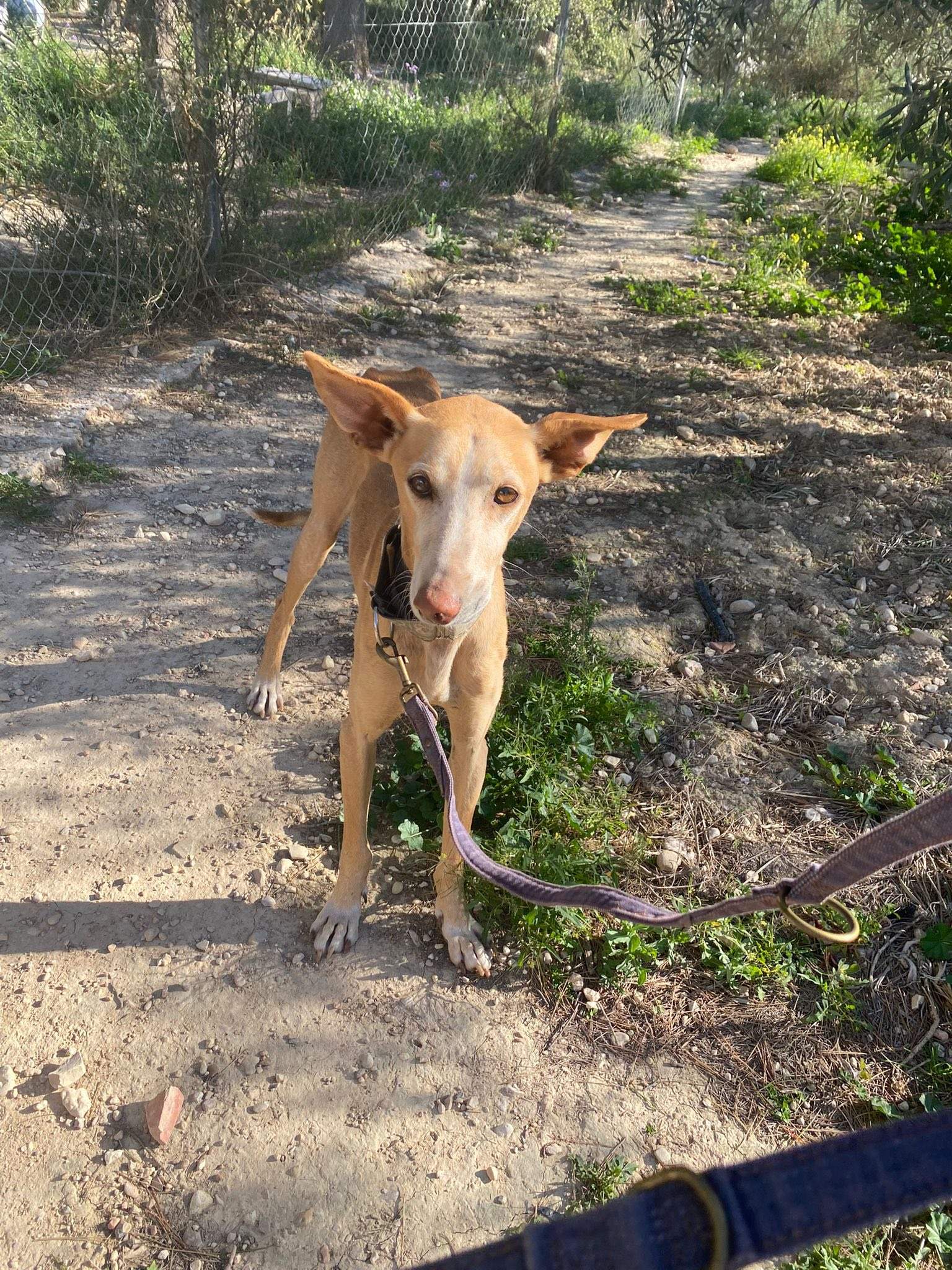 rubio_1229867079353578