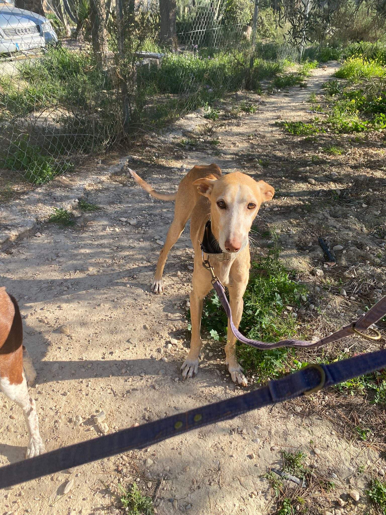 rubio_1229867106020242