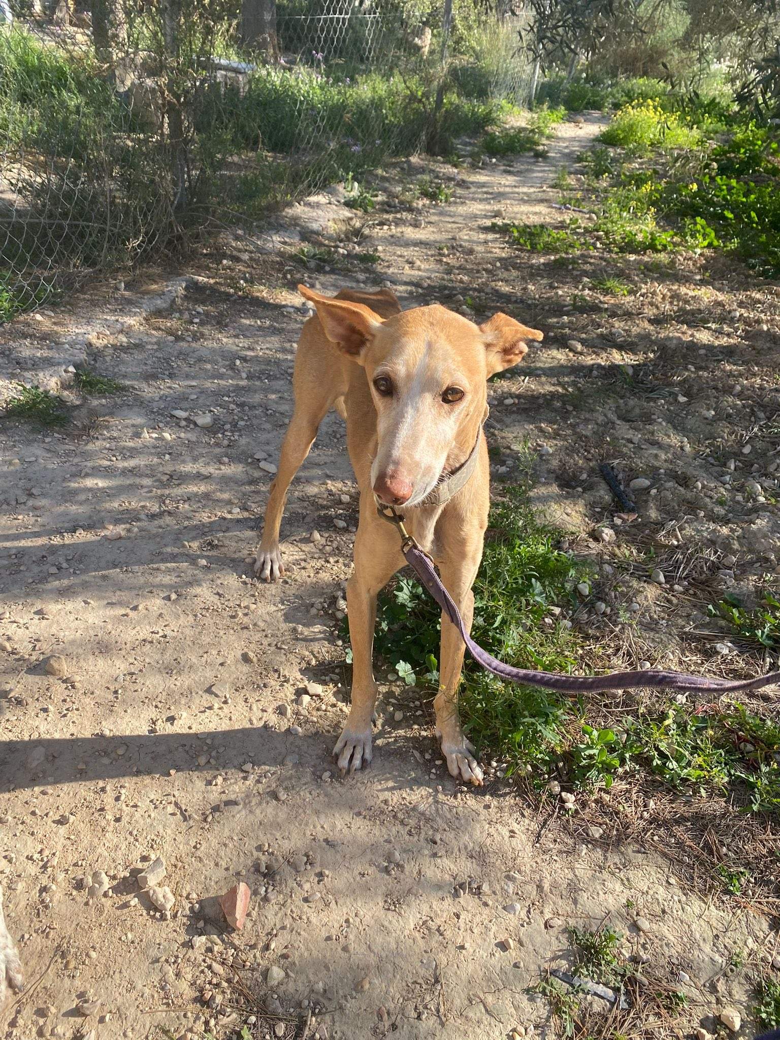 rubio_1229867142686905