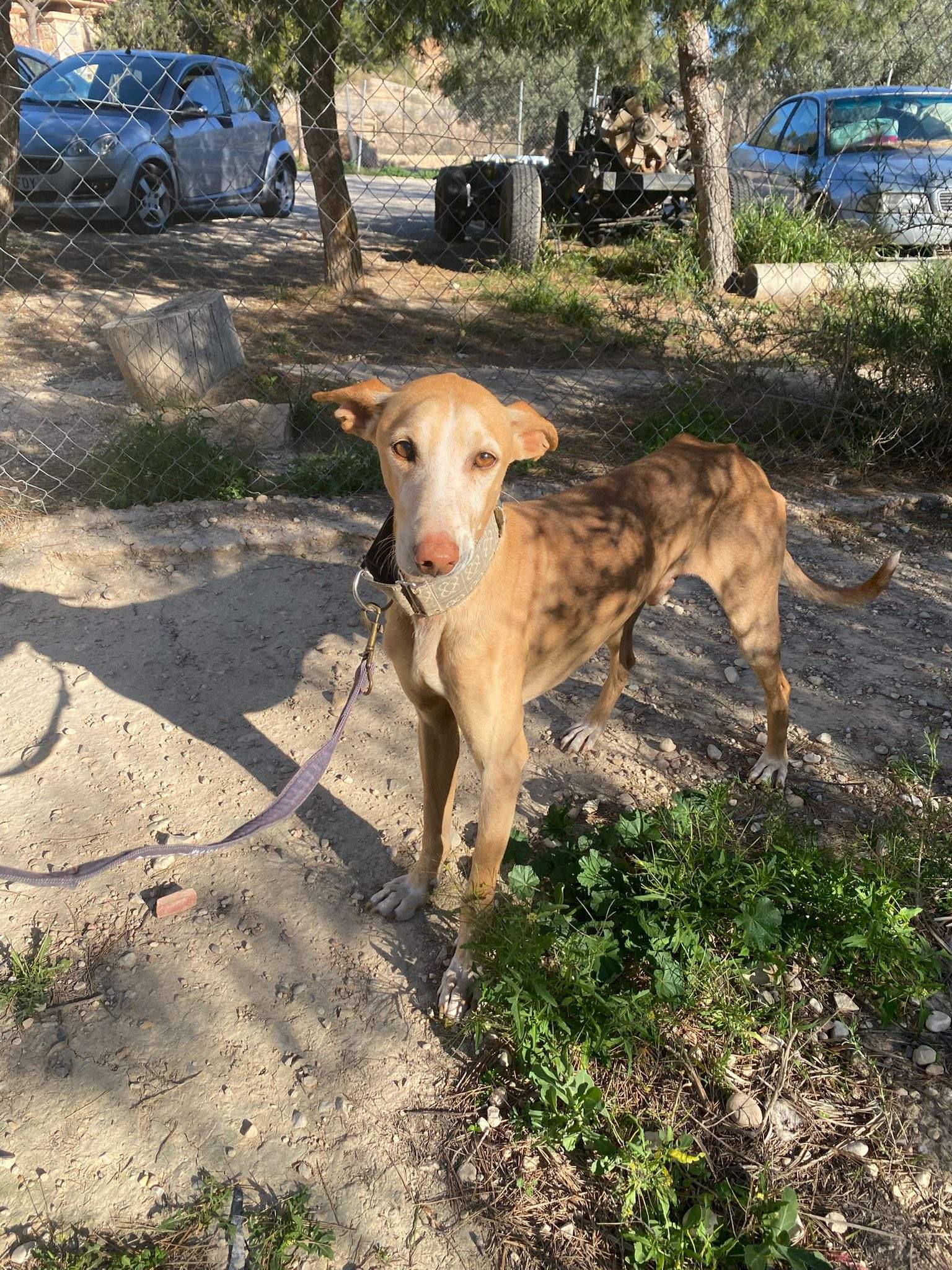 rubio_1229867166020236