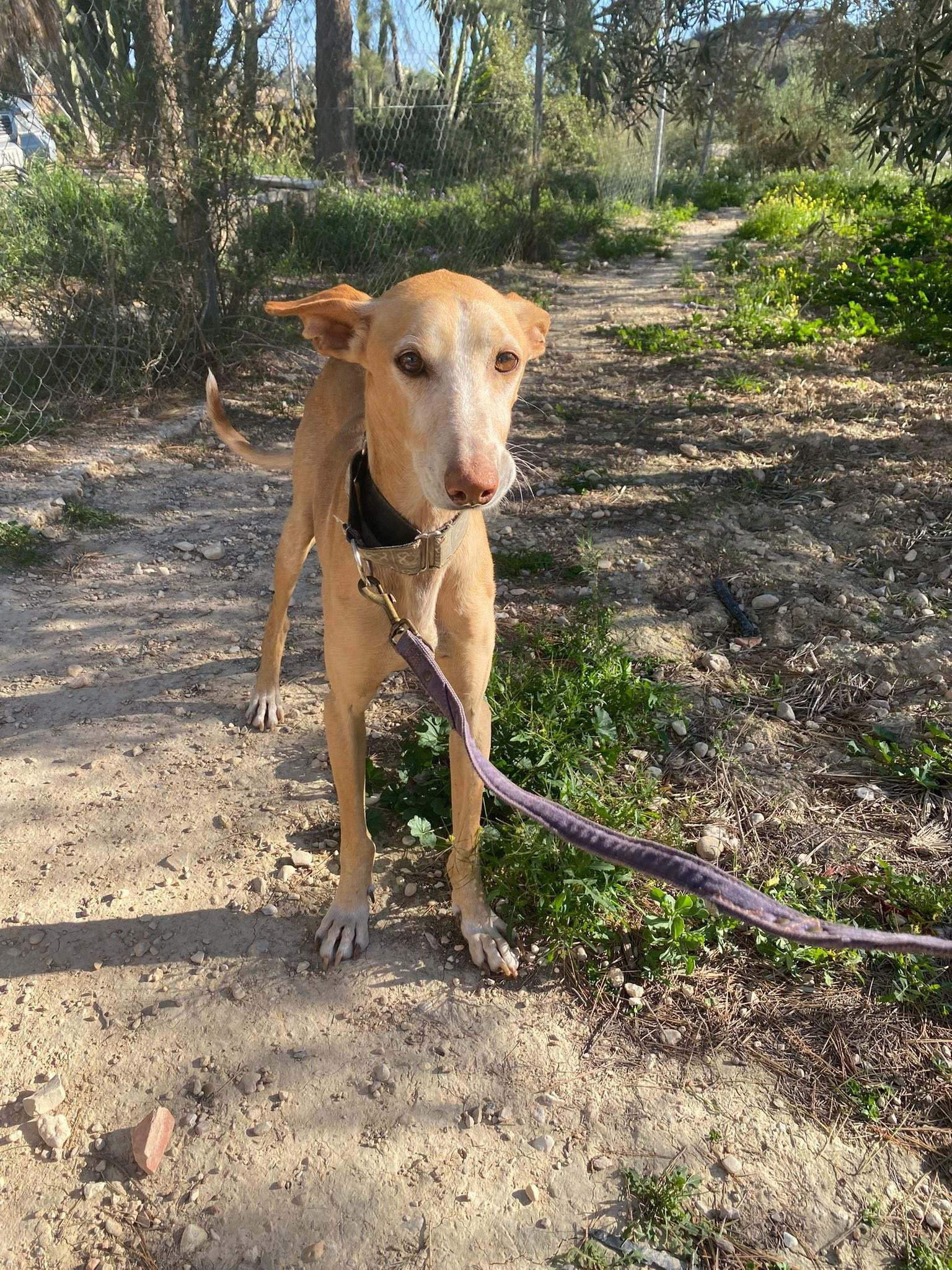 rubio_1229867216020231