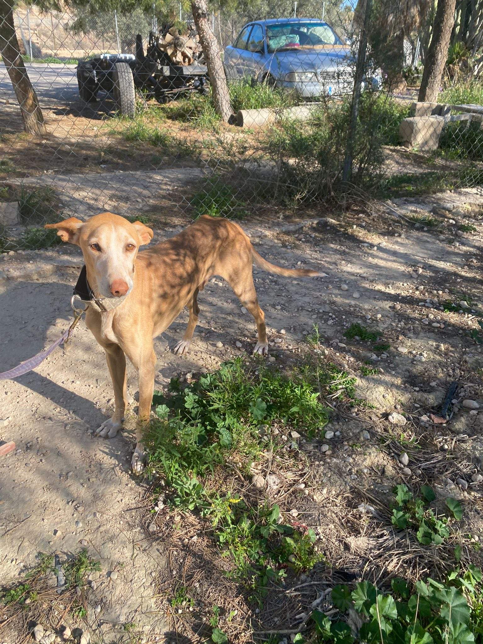 rubio_1229867236020229