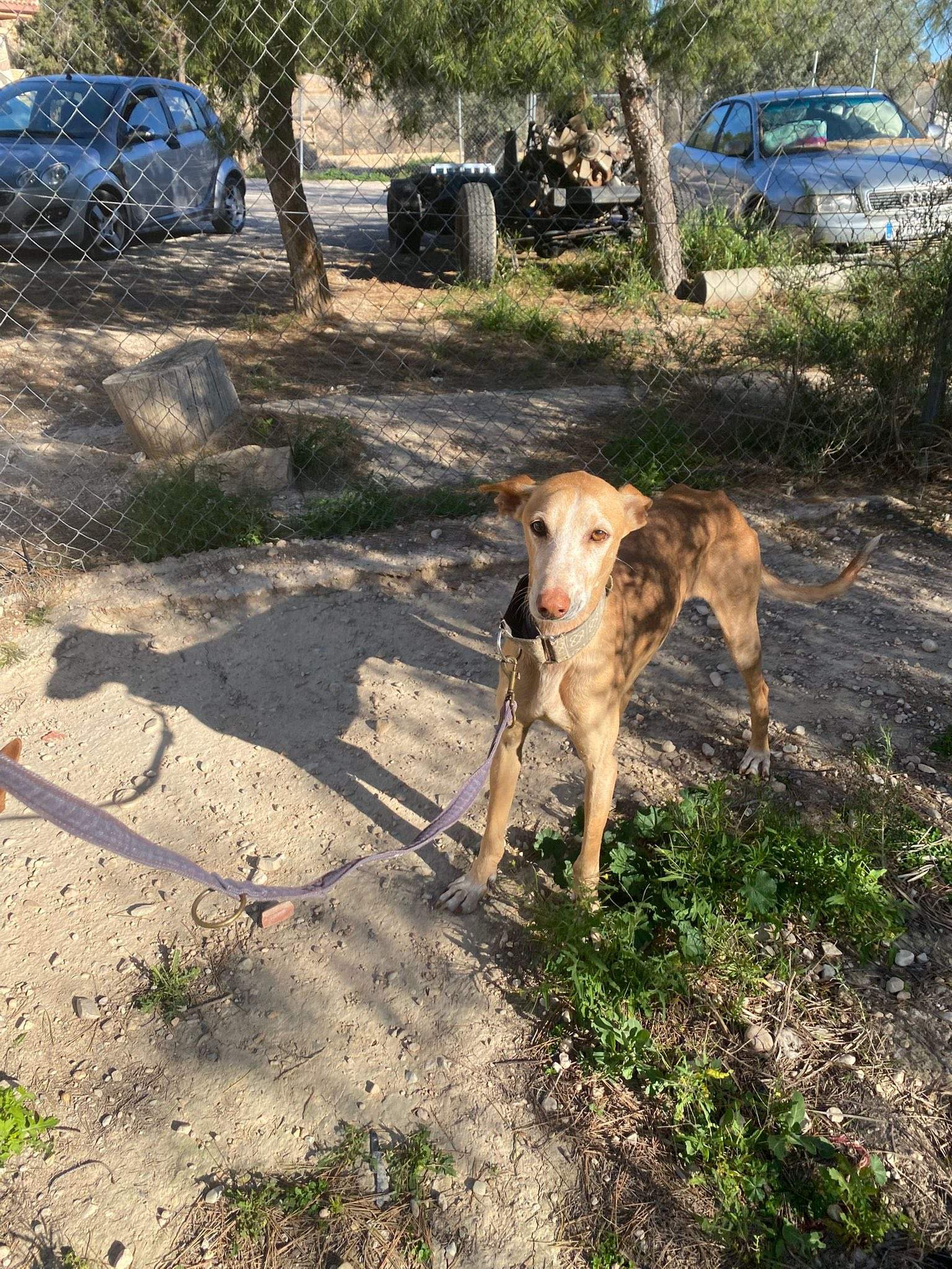 rubio_1229867312686888