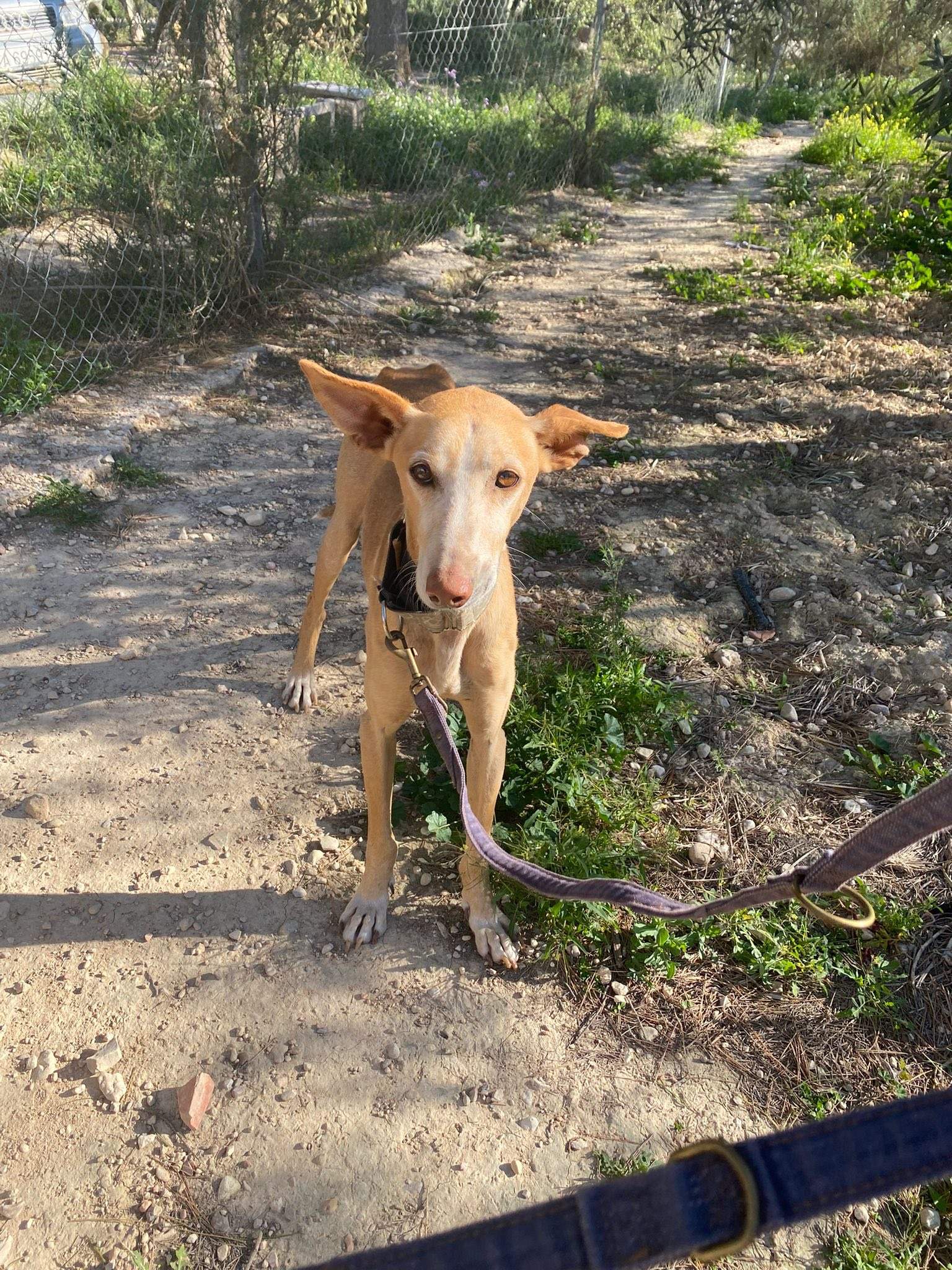 rubio_1229867329353553