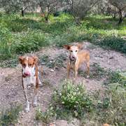 rubio_1281589300848022