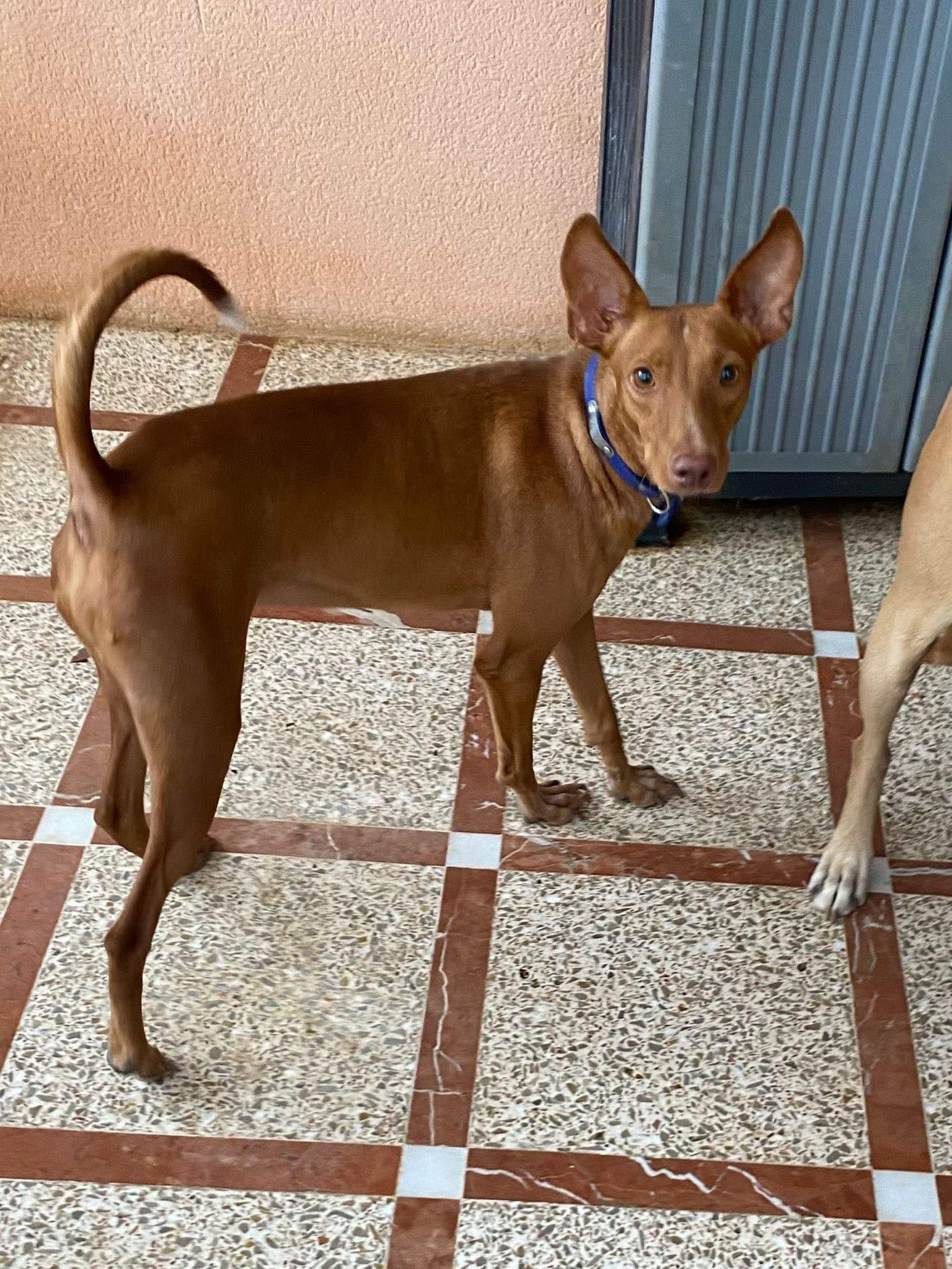 rufi_1061666142840340
