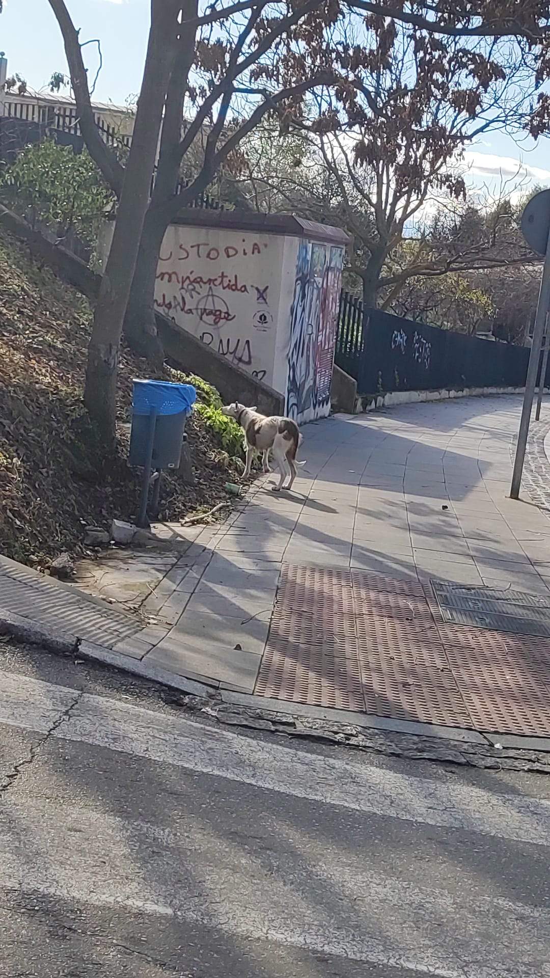 rumba_1401465285527089