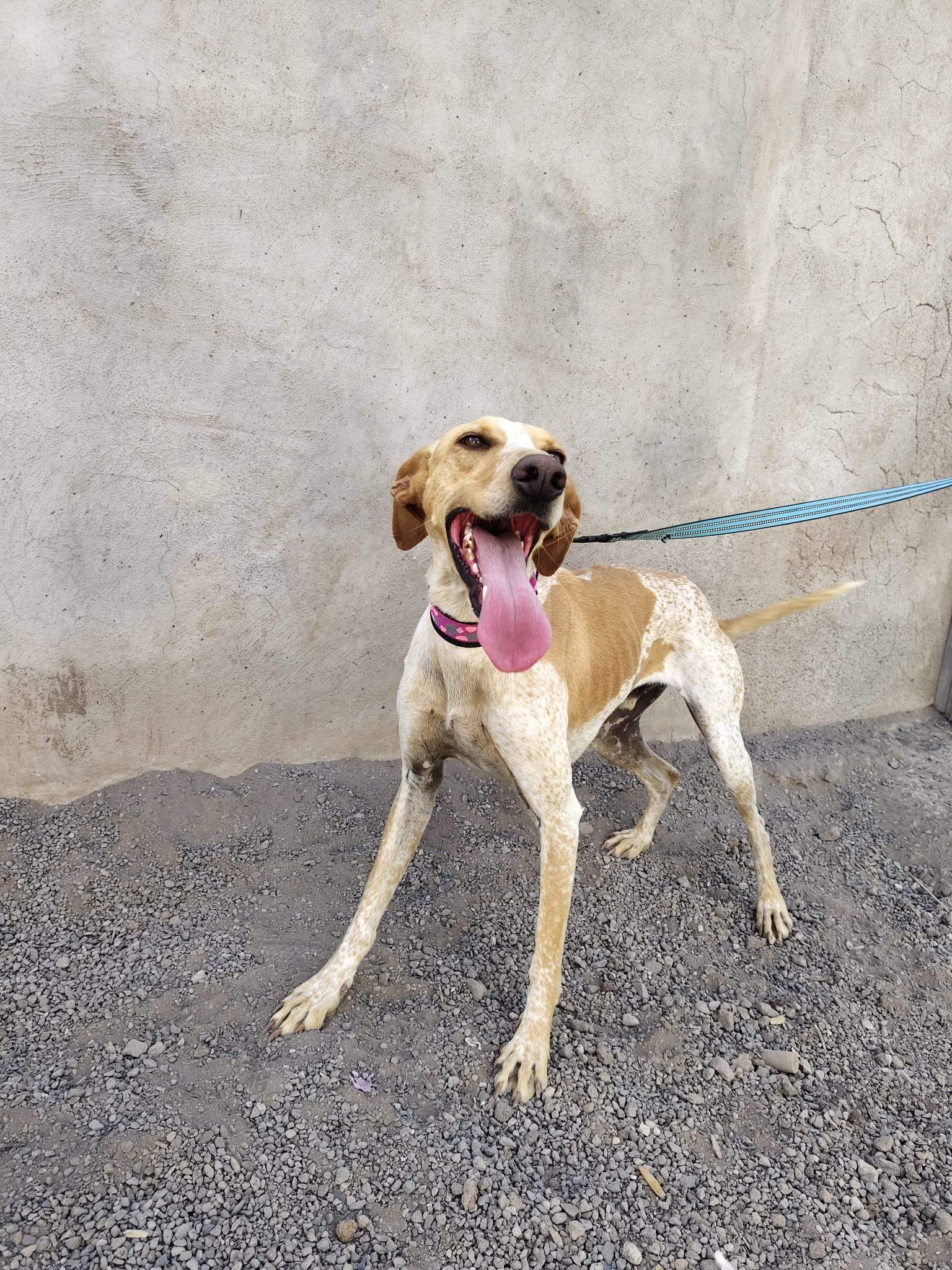 salih-sidoni_1157199549953665