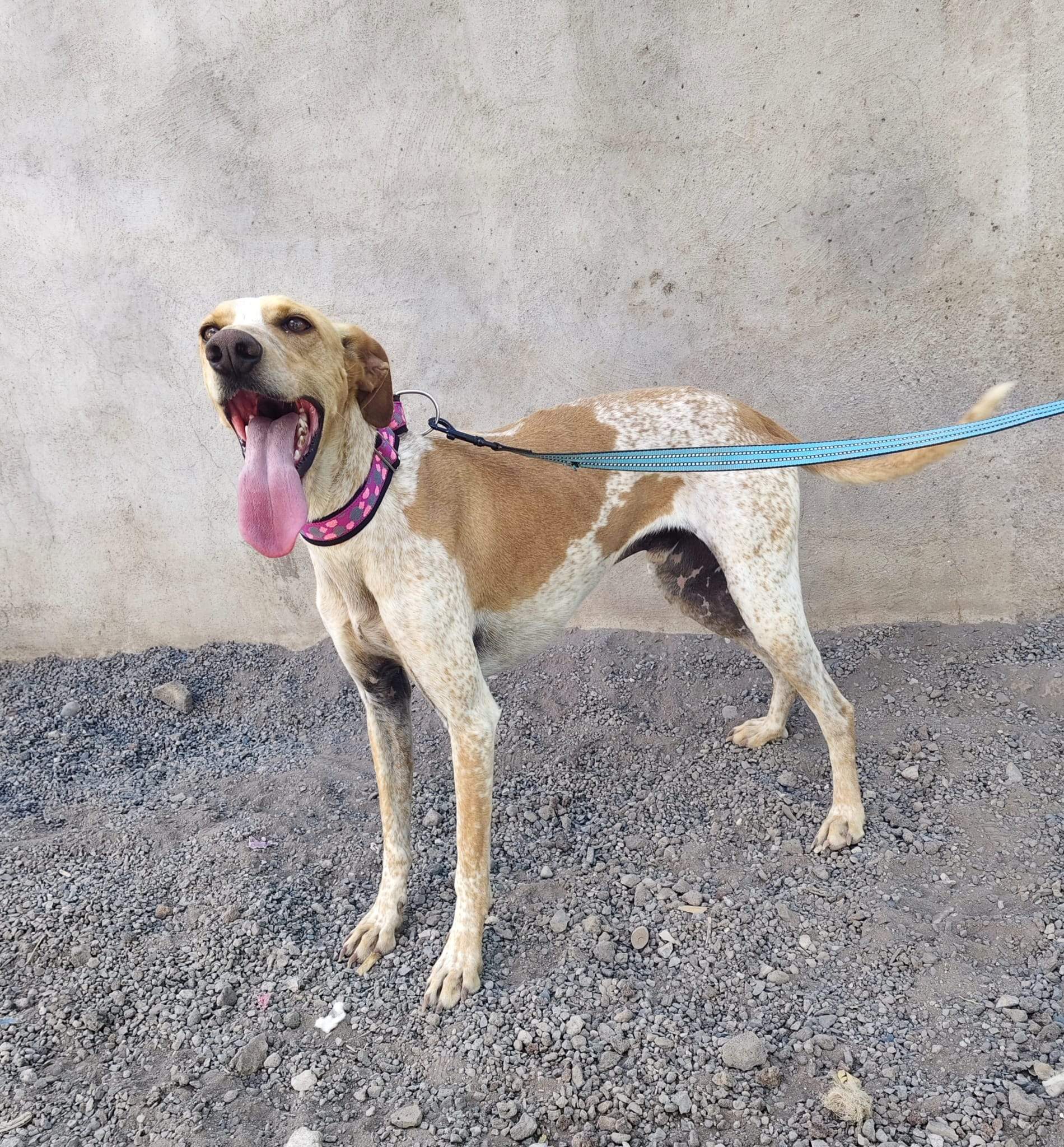 salih-sidoni_1157199793286974