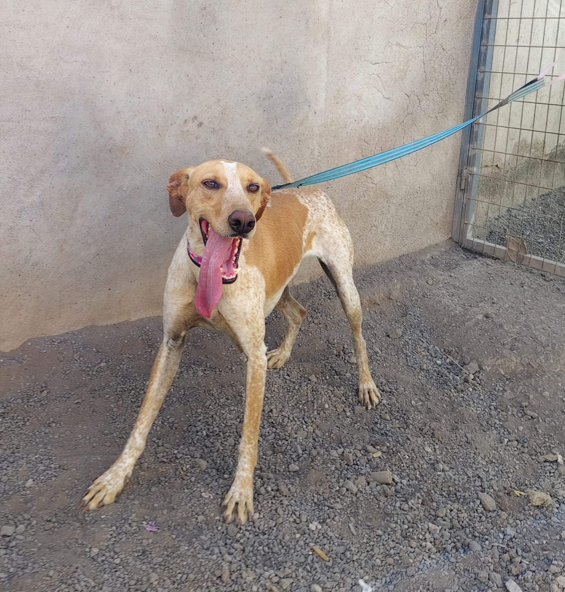 salih-sidoni_1157199849953635