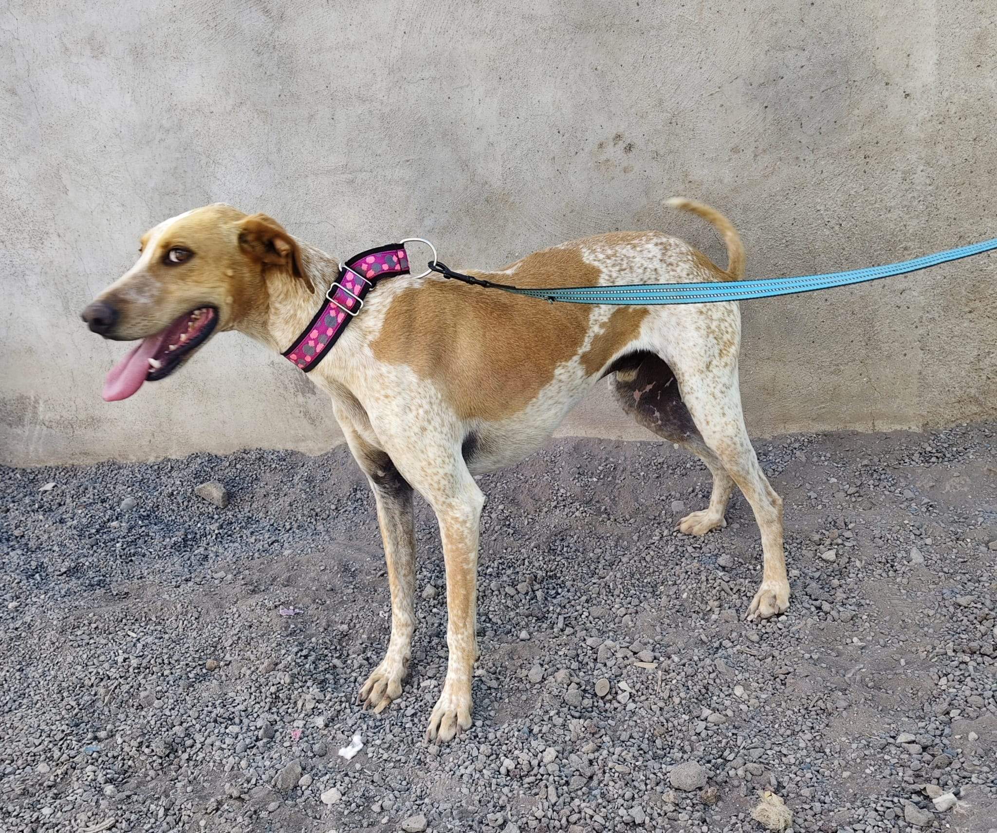 salih-sidoni_1157199943286959