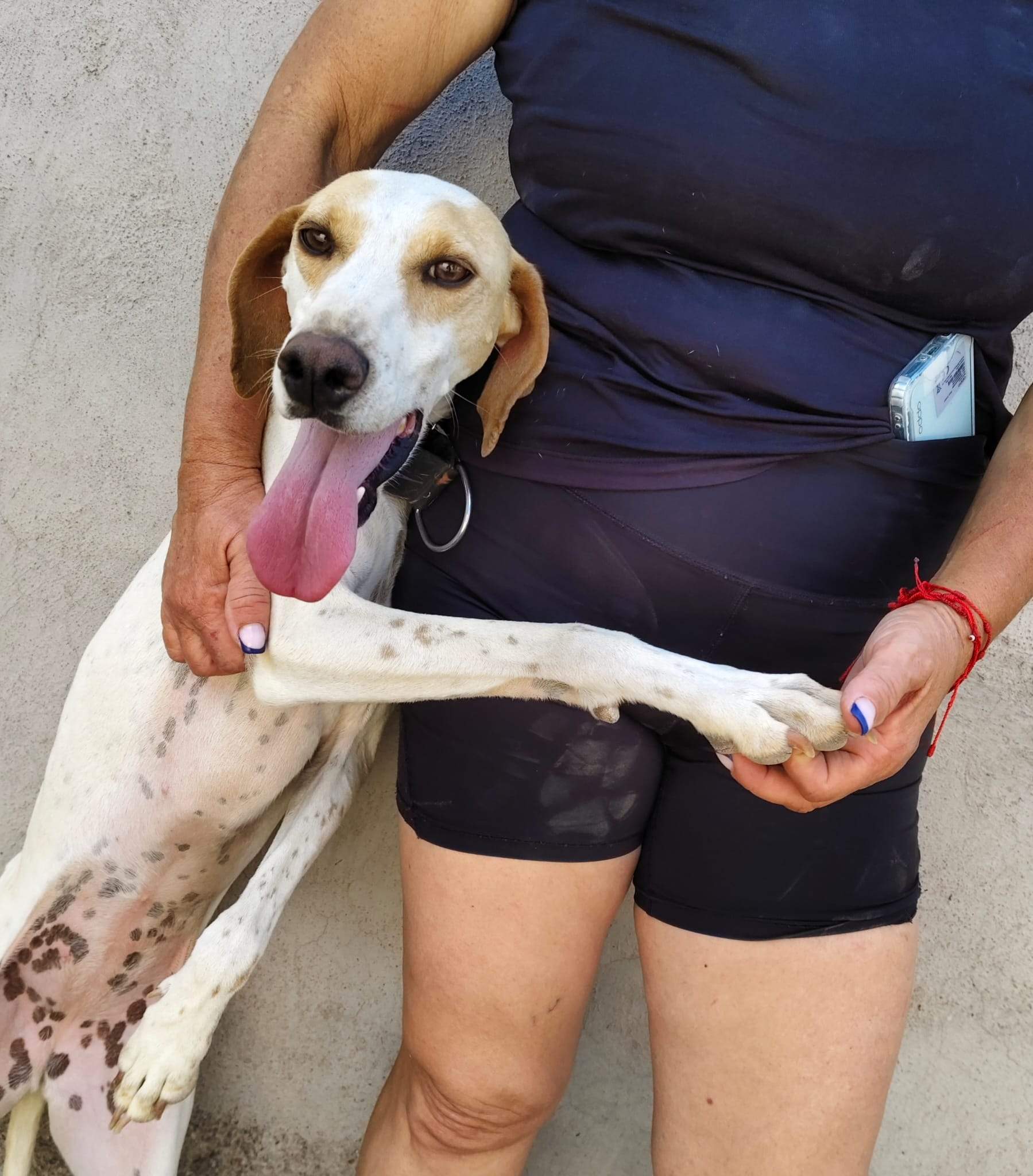 salih-sidoni_1157200383286915