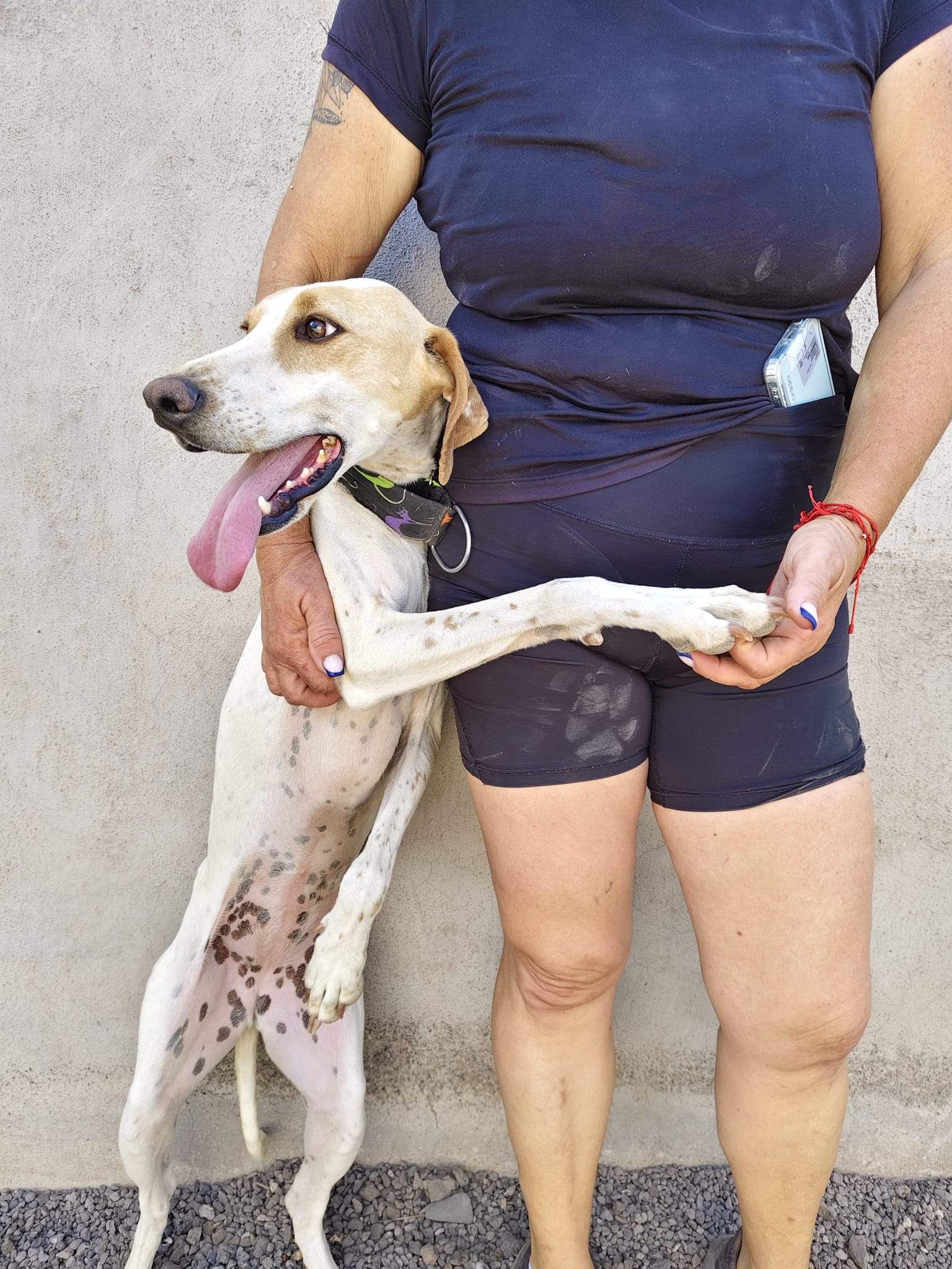 salih-sidoni_1157200413286912