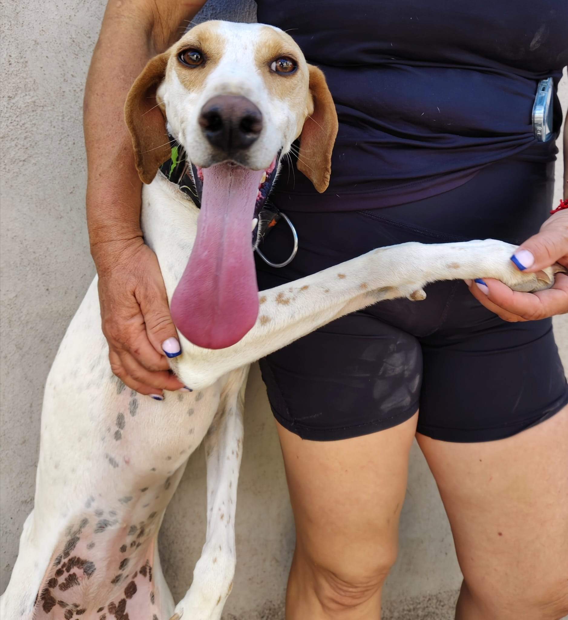 salih-sidoni_1157200519953568