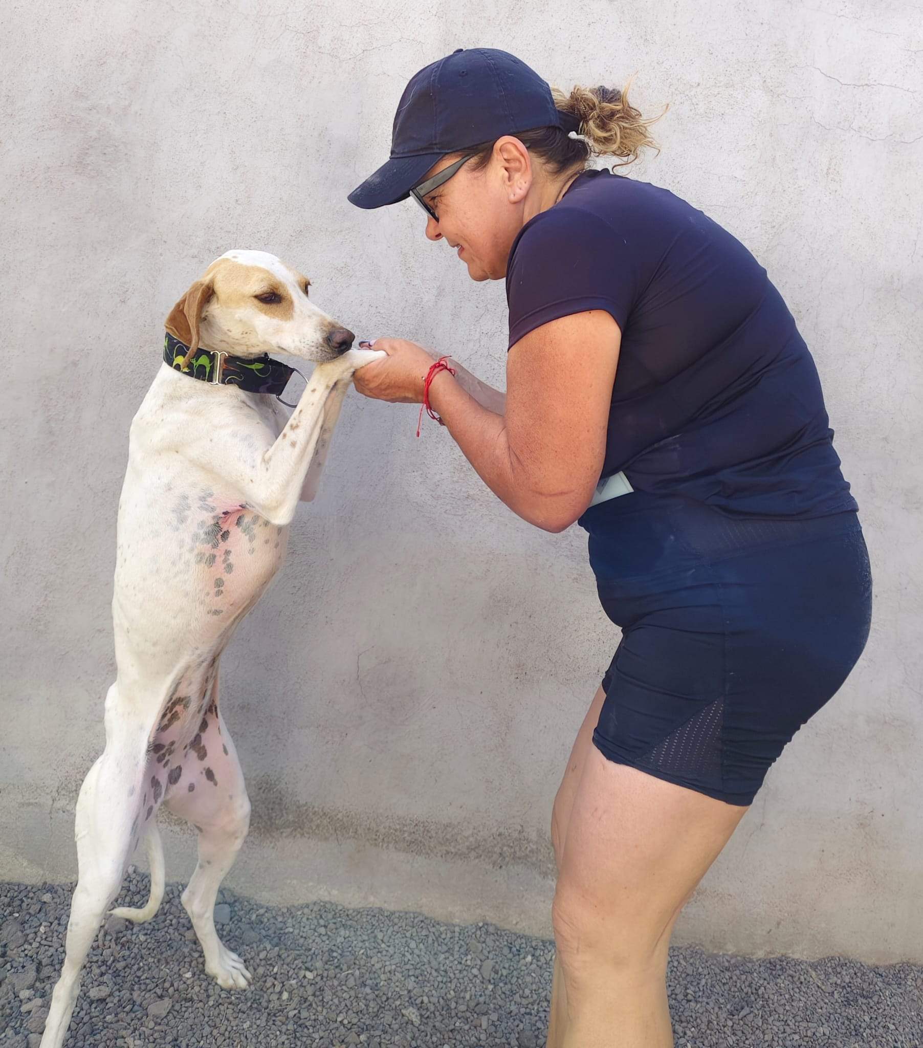 salih-sidoni_1157200606620226