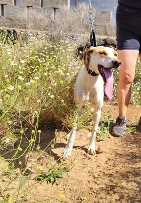 salih-sidoni_1157200629953557