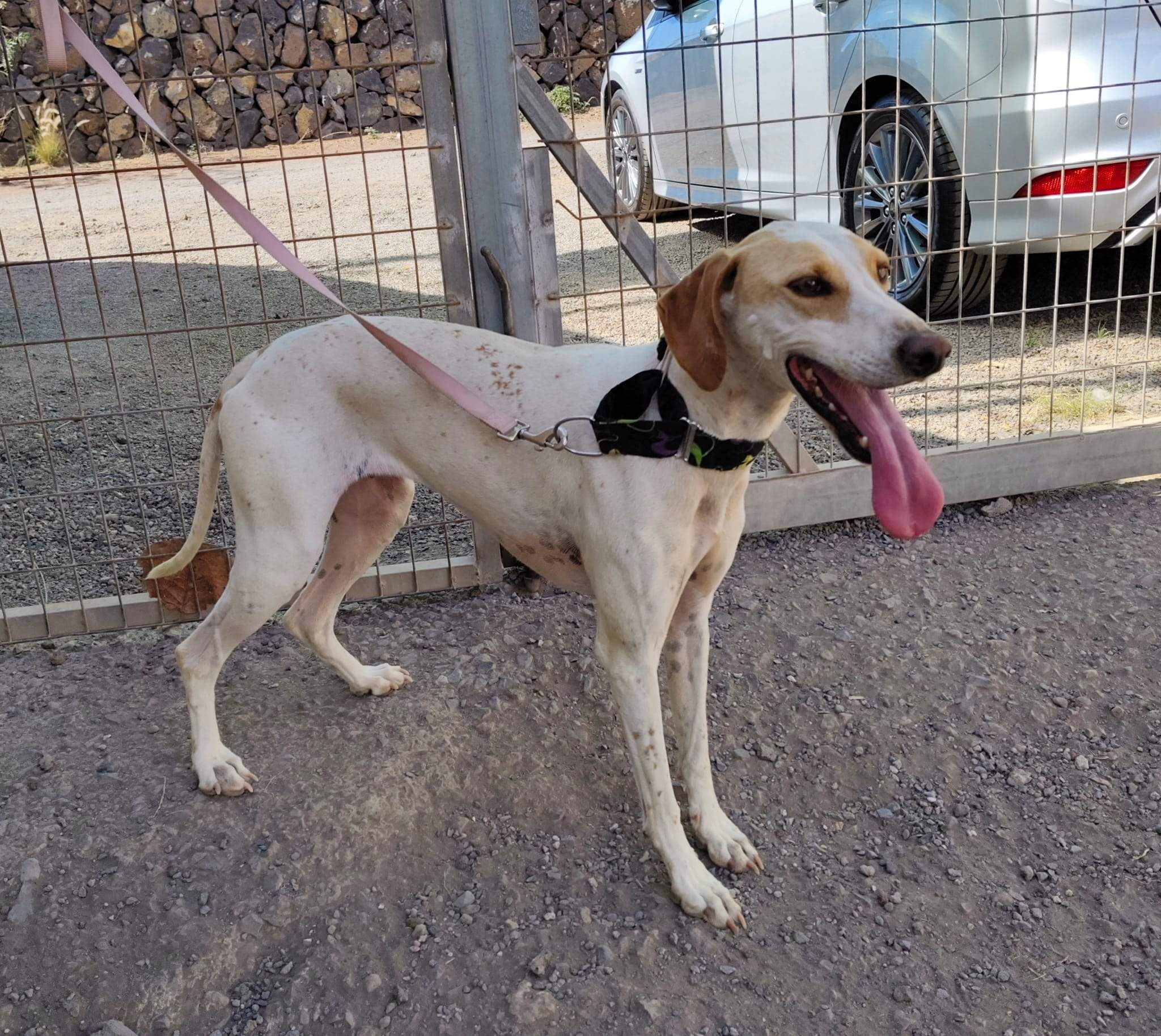 salih-sidoni_1157200756620211