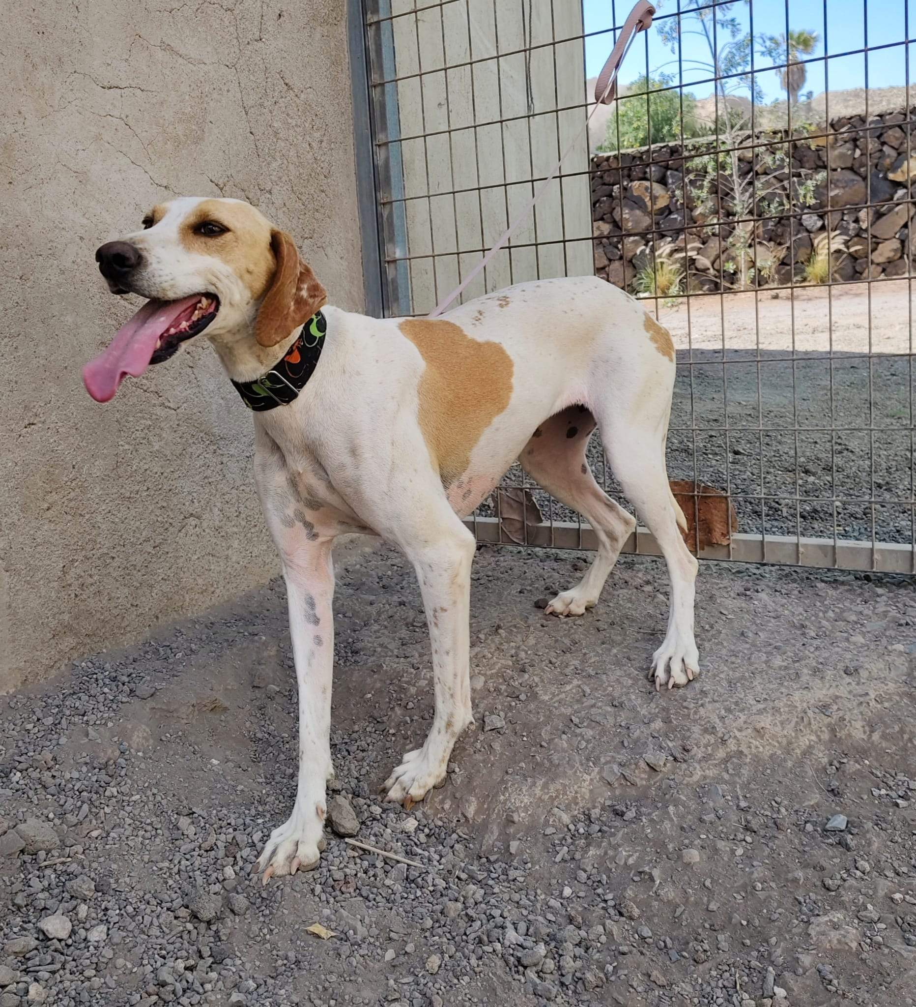 salih-sidoni_1157200783286875